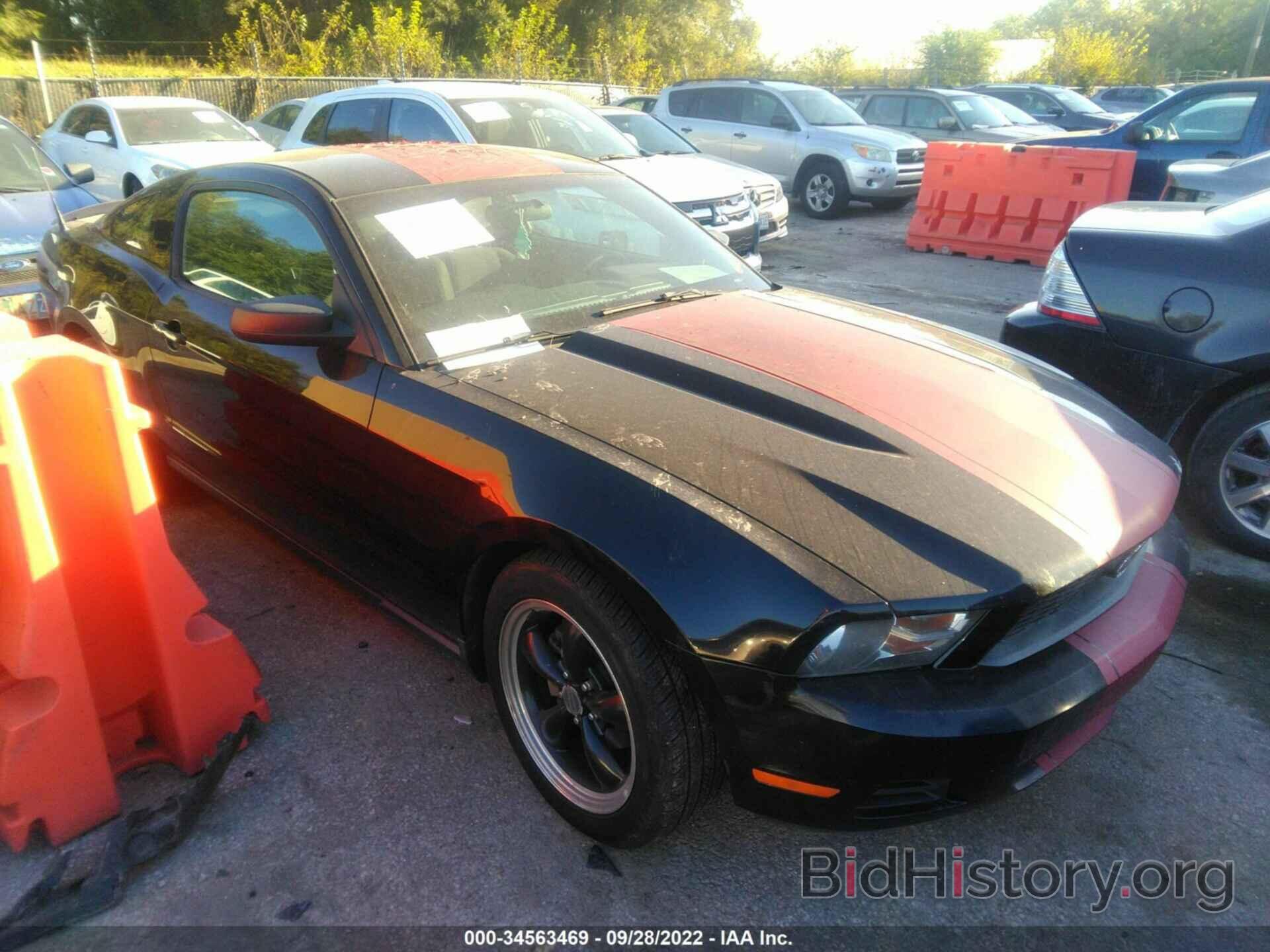 Photo 1ZVBP8AN5A5164858 - FORD MUSTANG 2010