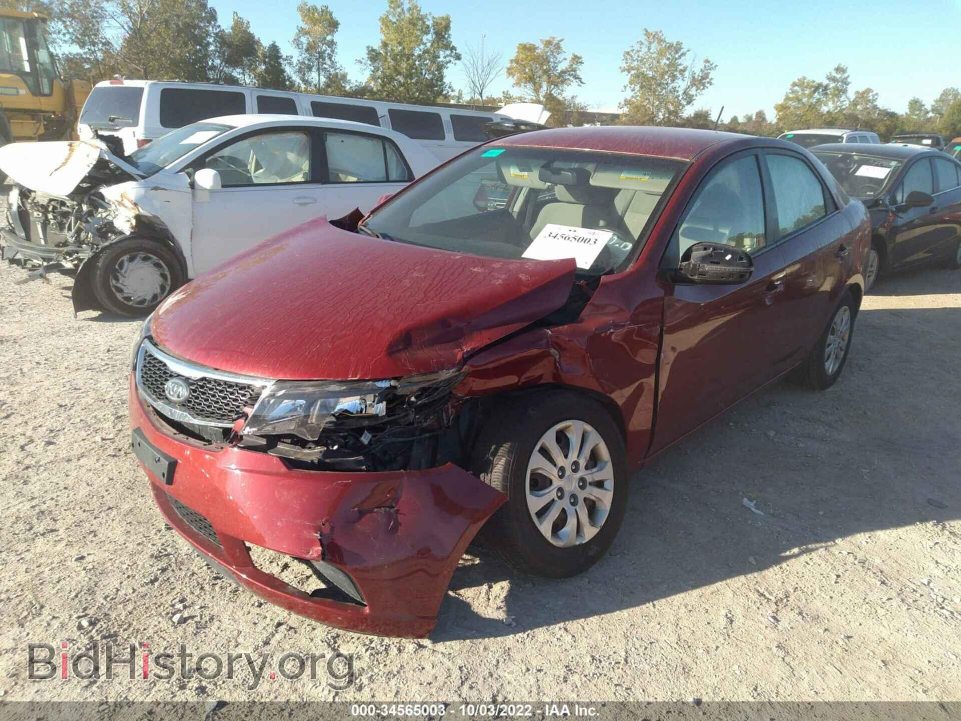 2011 KIA FORTE - VIN: KNAFU4A21B5445176 - Фото 2