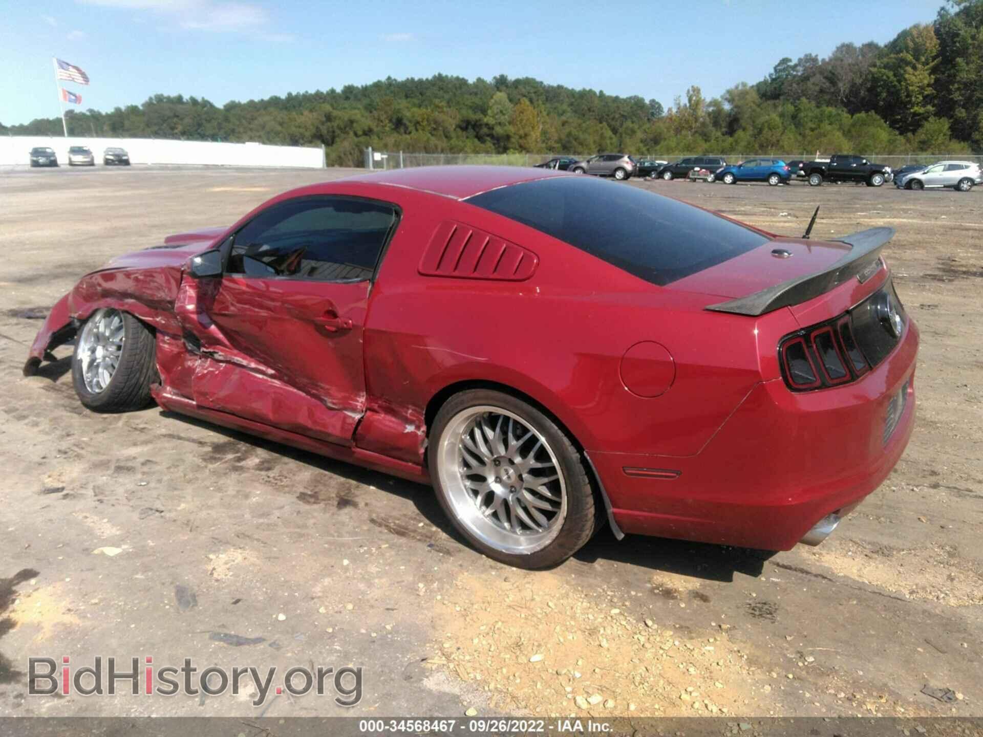 2013 FORD MUSTANG - VIN: 1ZVBP8CF6D5268902 - Фото 3