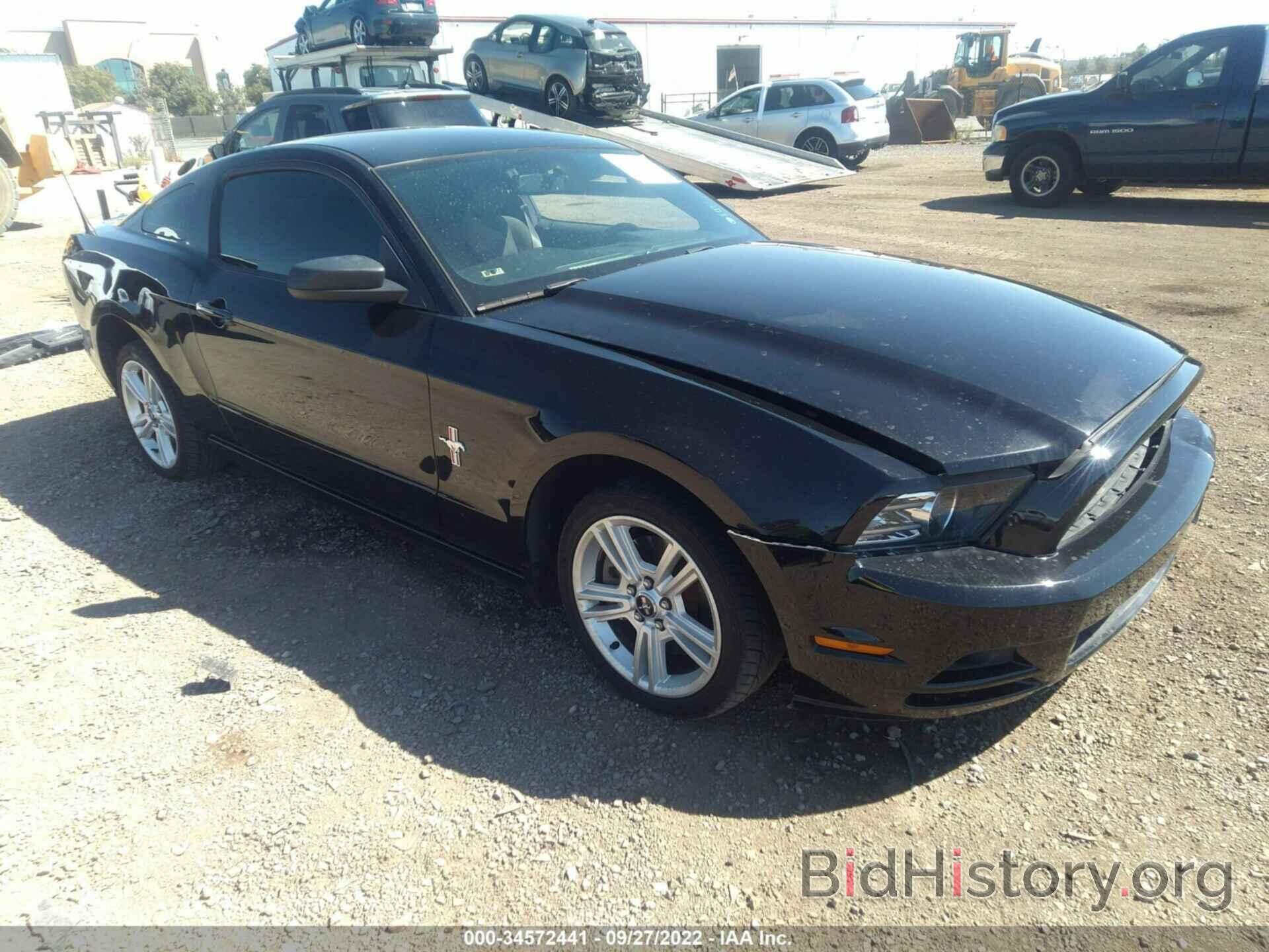 Photo 1ZVBP8AM5D5282517 - FORD MUSTANG 2013