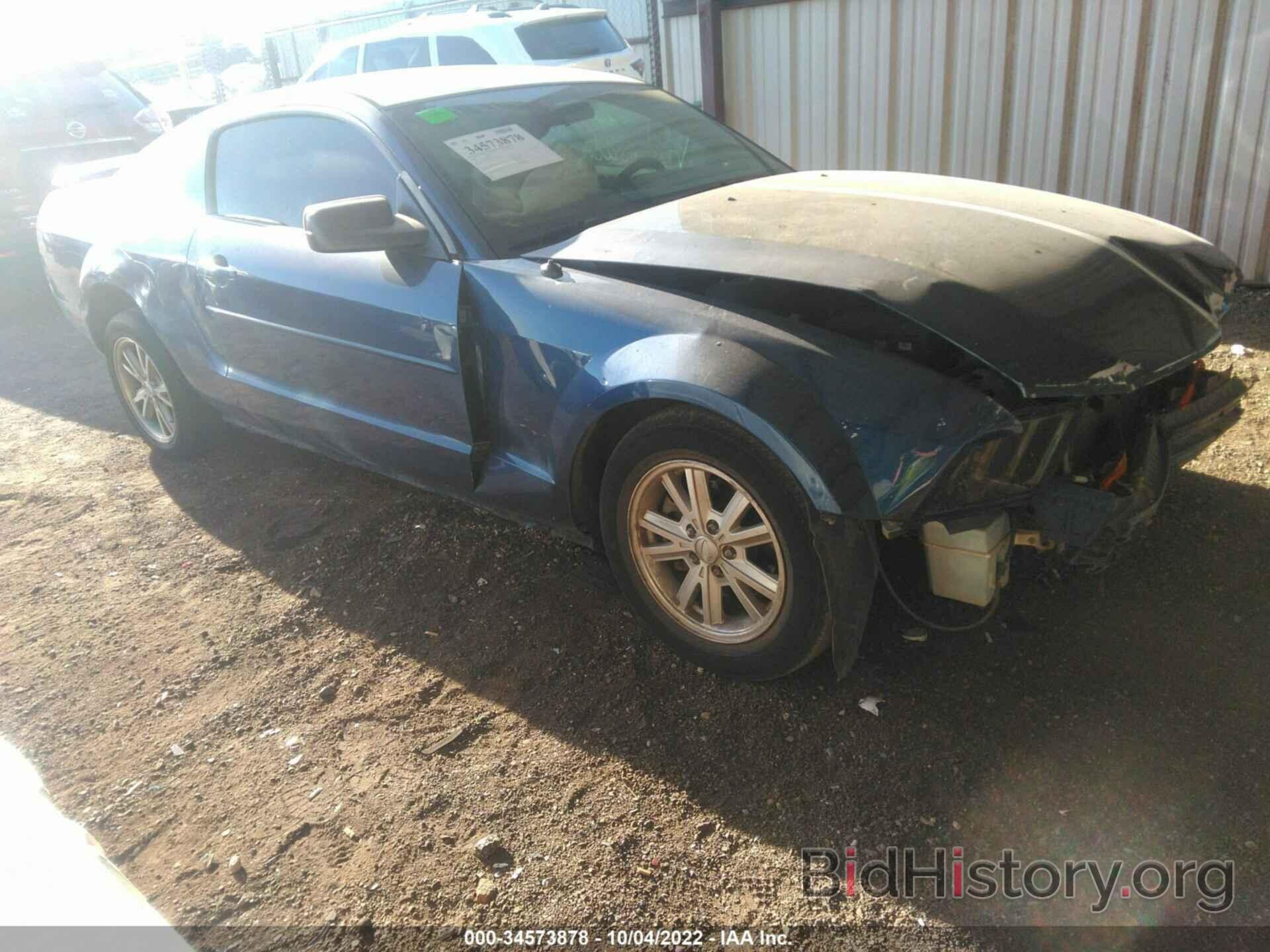 Photo 1ZVFT80N365152536 - FORD MUSTANG 2006