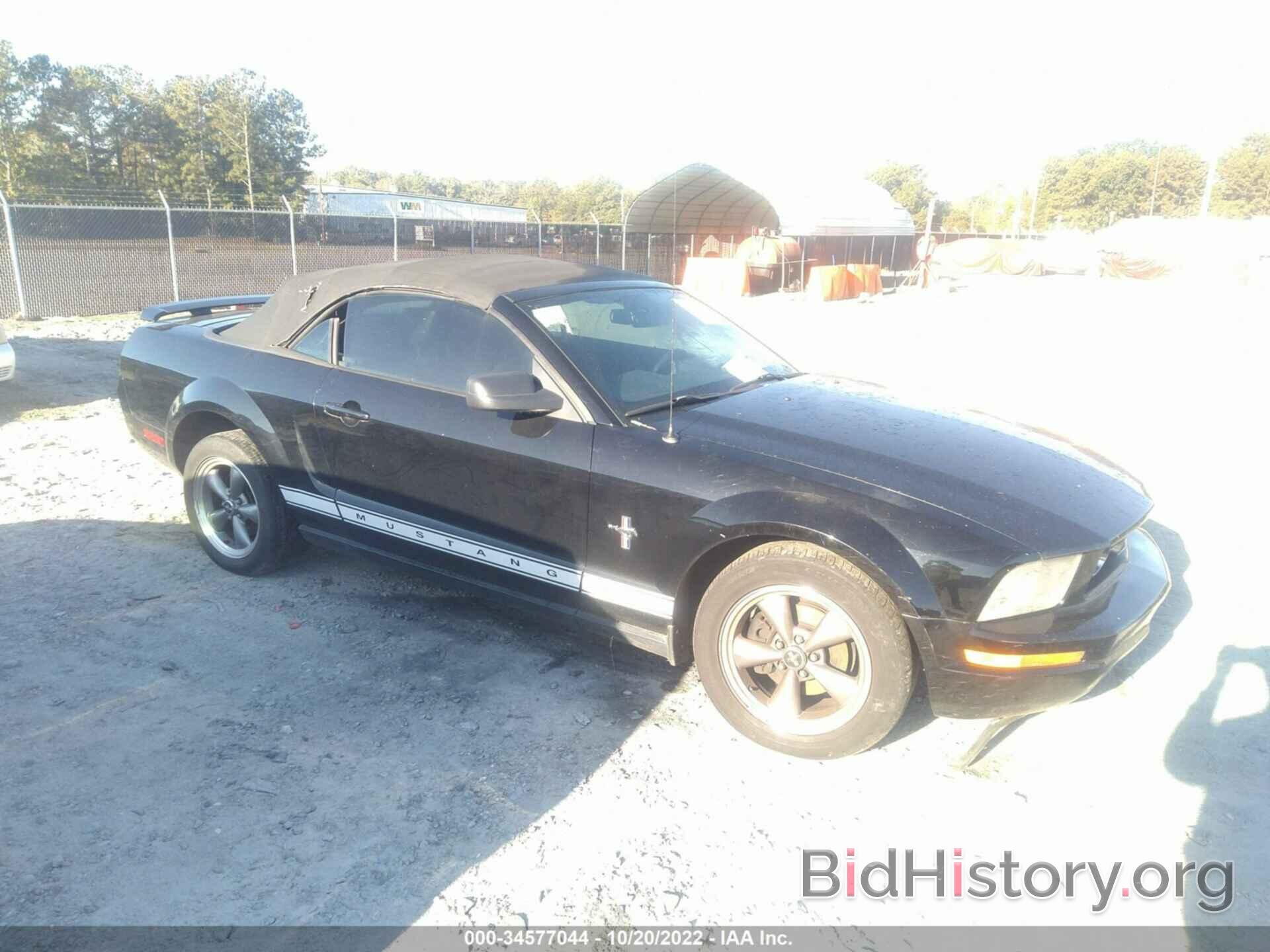 Photo 1ZVHT84N565183564 - FORD MUSTANG 2006