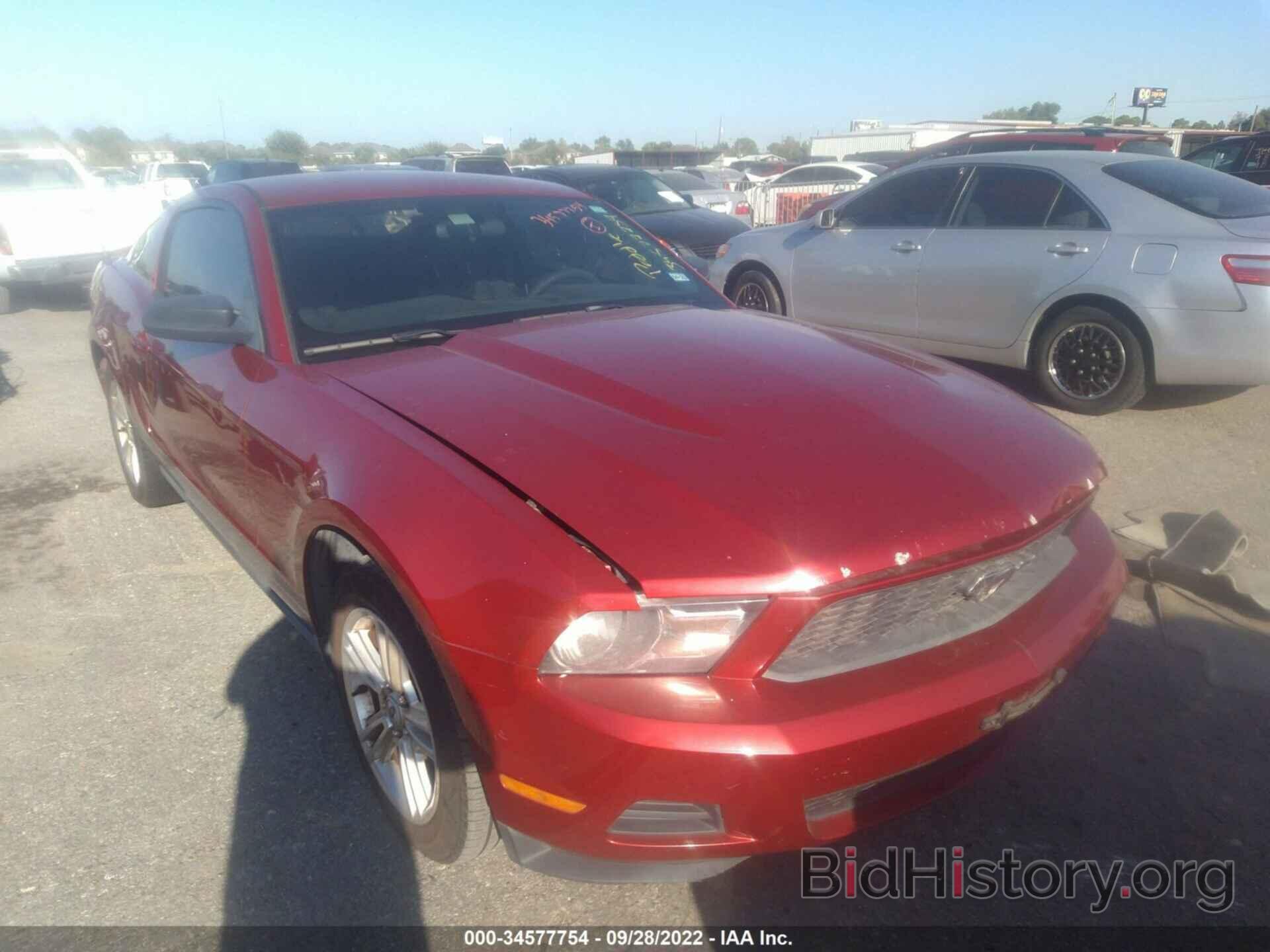 Photo 1ZVBP8AN9A5129157 - FORD MUSTANG 2010