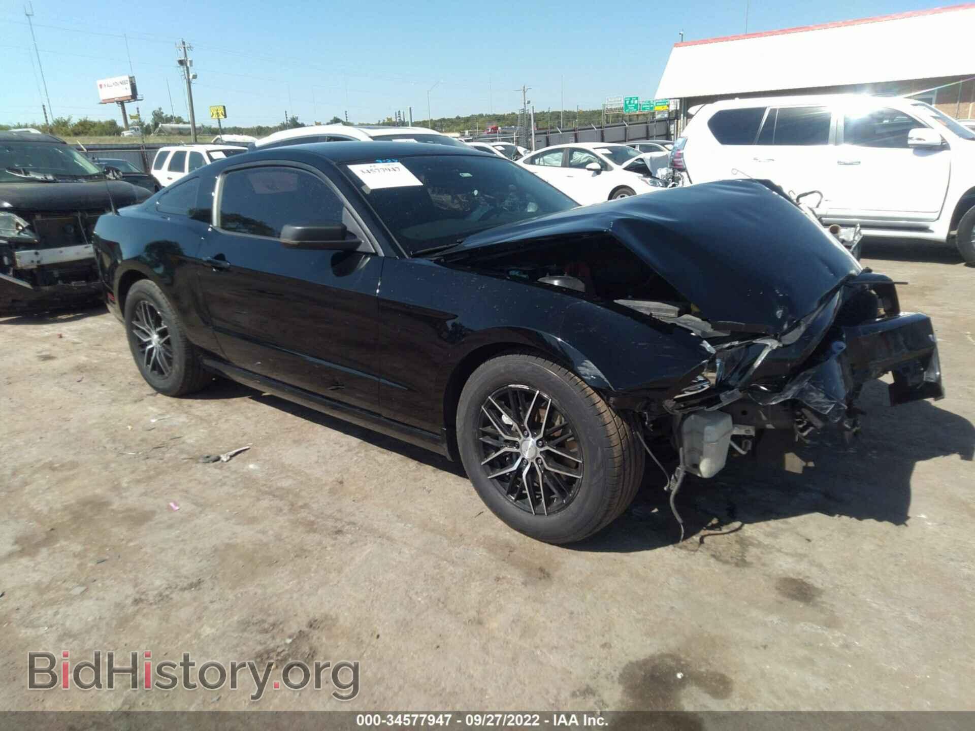 Фотография 1ZVBP8AM4E5264267 - FORD MUSTANG 2014