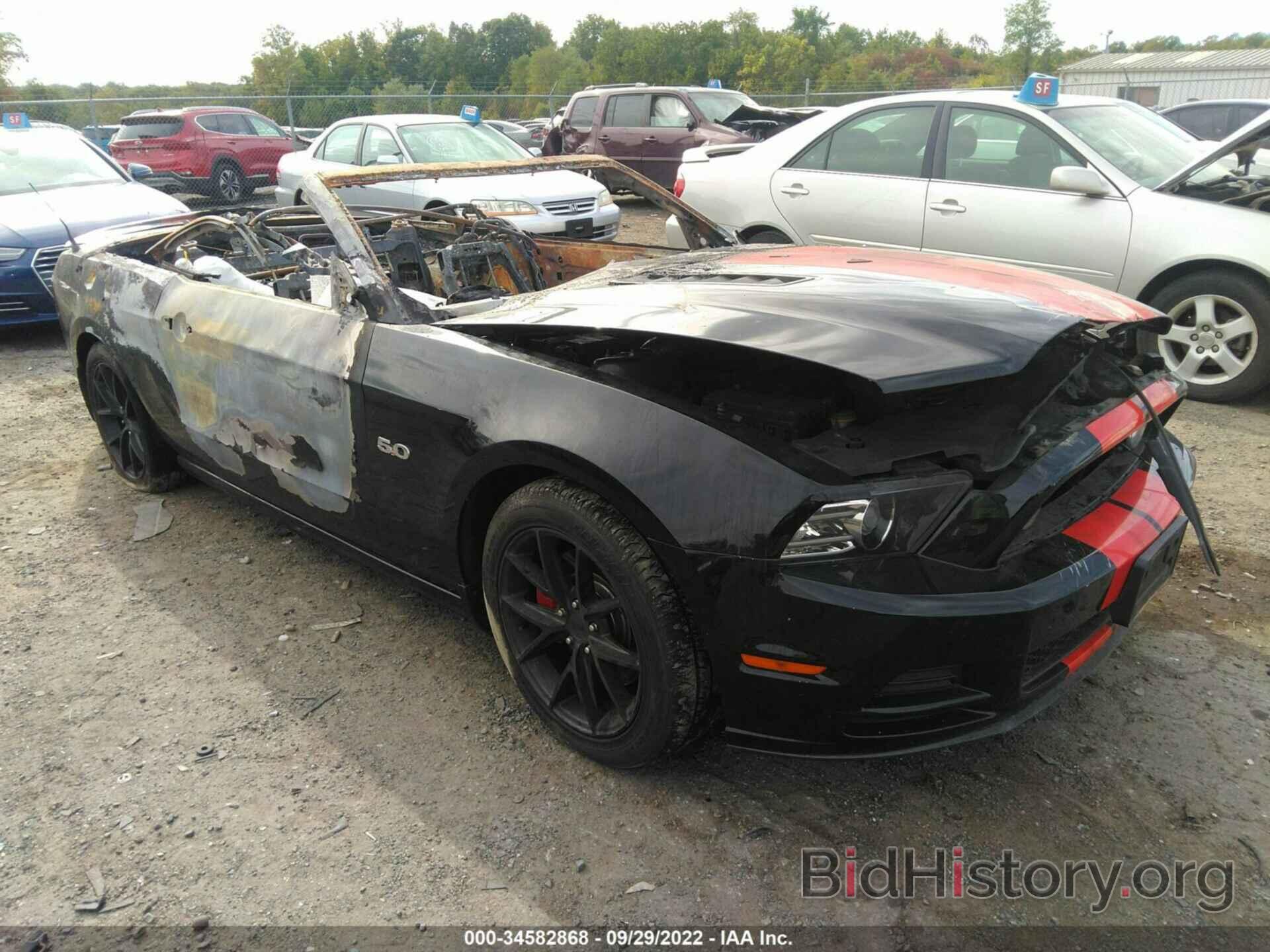 Photo 1ZVBP8FF4D5278193 - FORD MUSTANG 2013