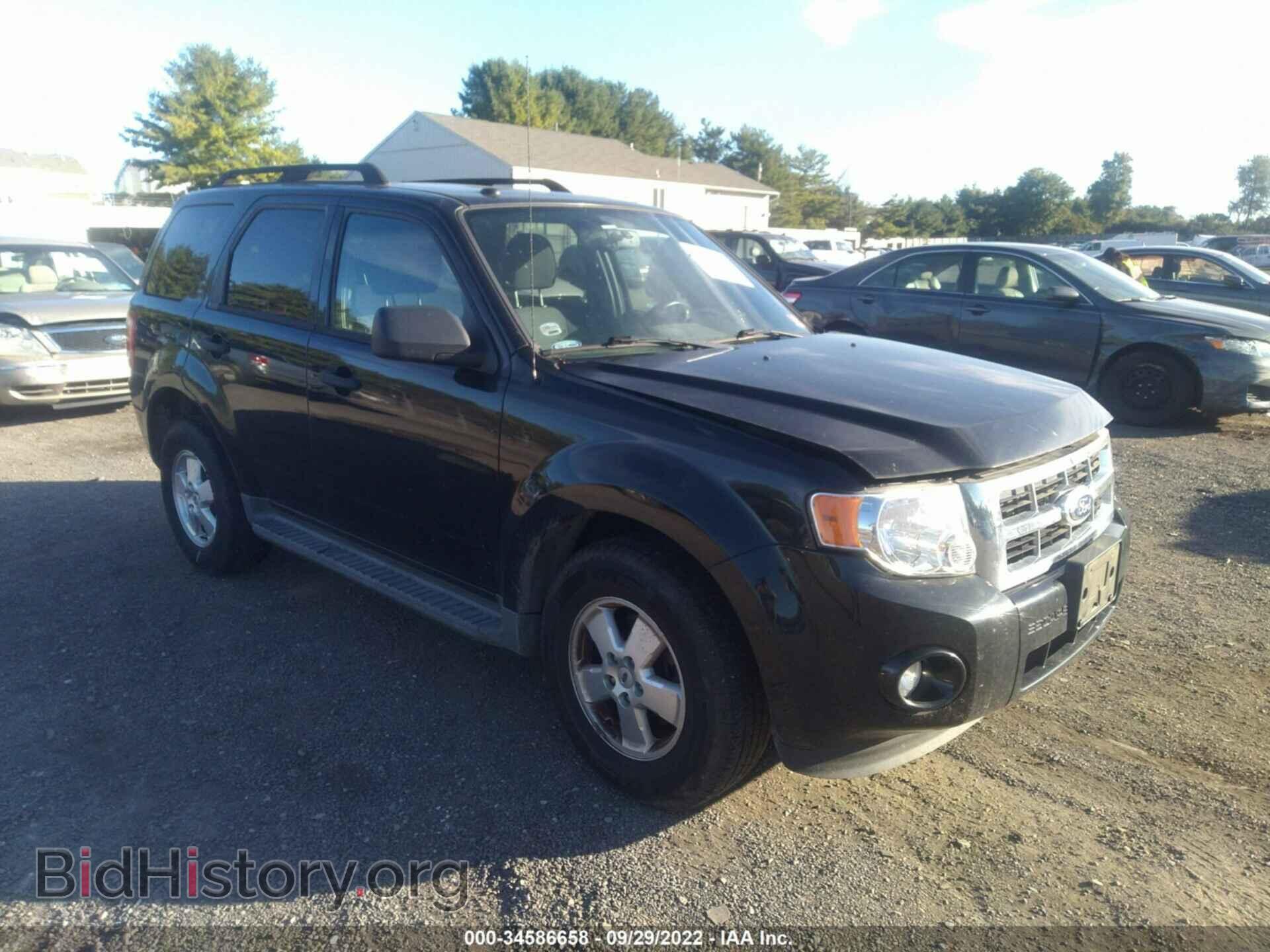 Фотография 1FMCU0DG6BKC08380 - FORD ESCAPE 2011