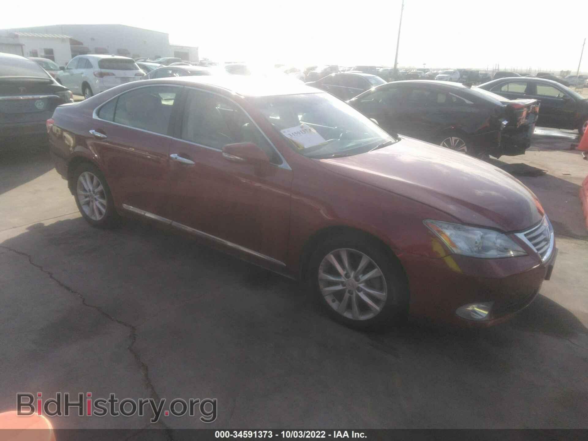 Фотография JTHBK1EG5A2349772 - LEXUS ES 350 2010