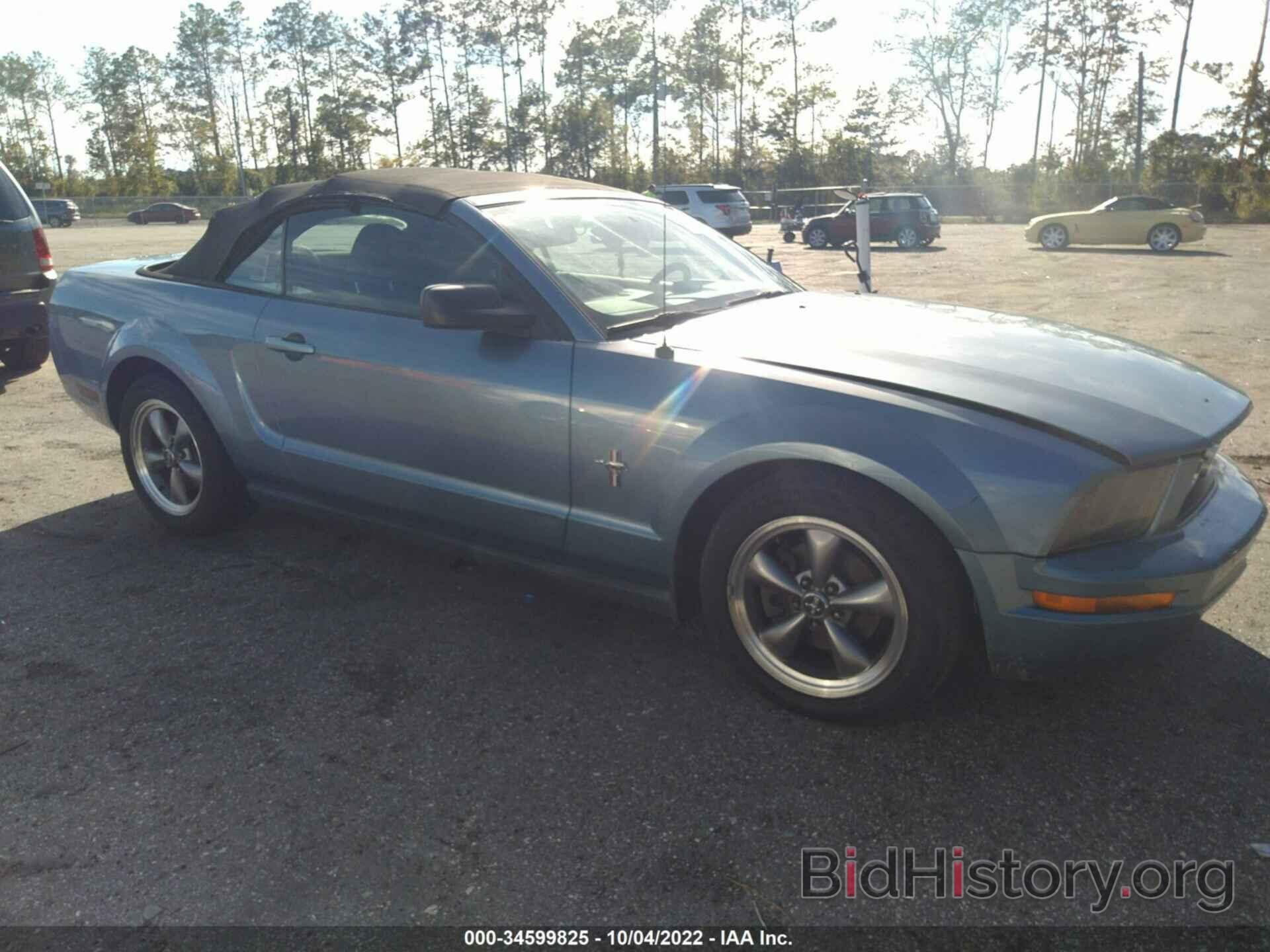 Photo 1ZVFT84N065174455 - FORD MUSTANG 2006