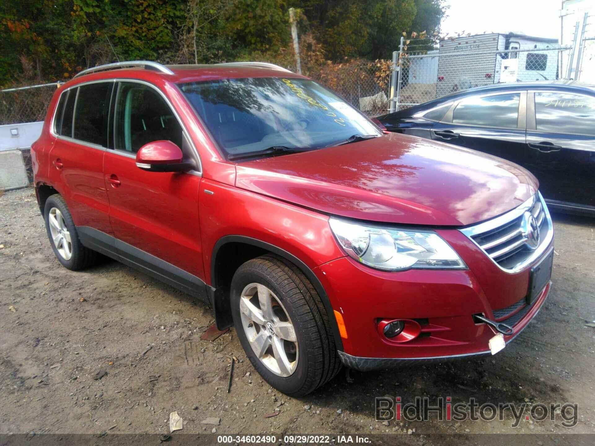 Photo WVGBV7AX5AW003825 - VOLKSWAGEN TIGUAN 2010