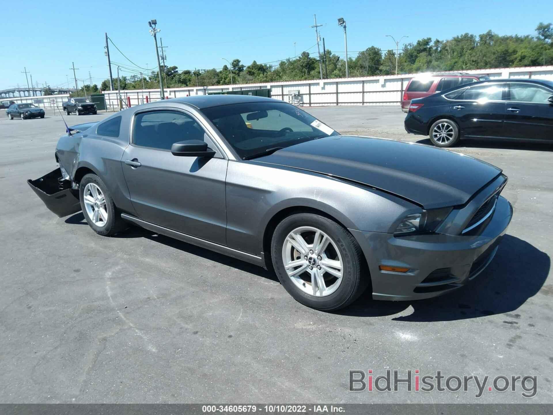 Photo 1ZVBP8AM0E5318714 - FORD MUSTANG 2014