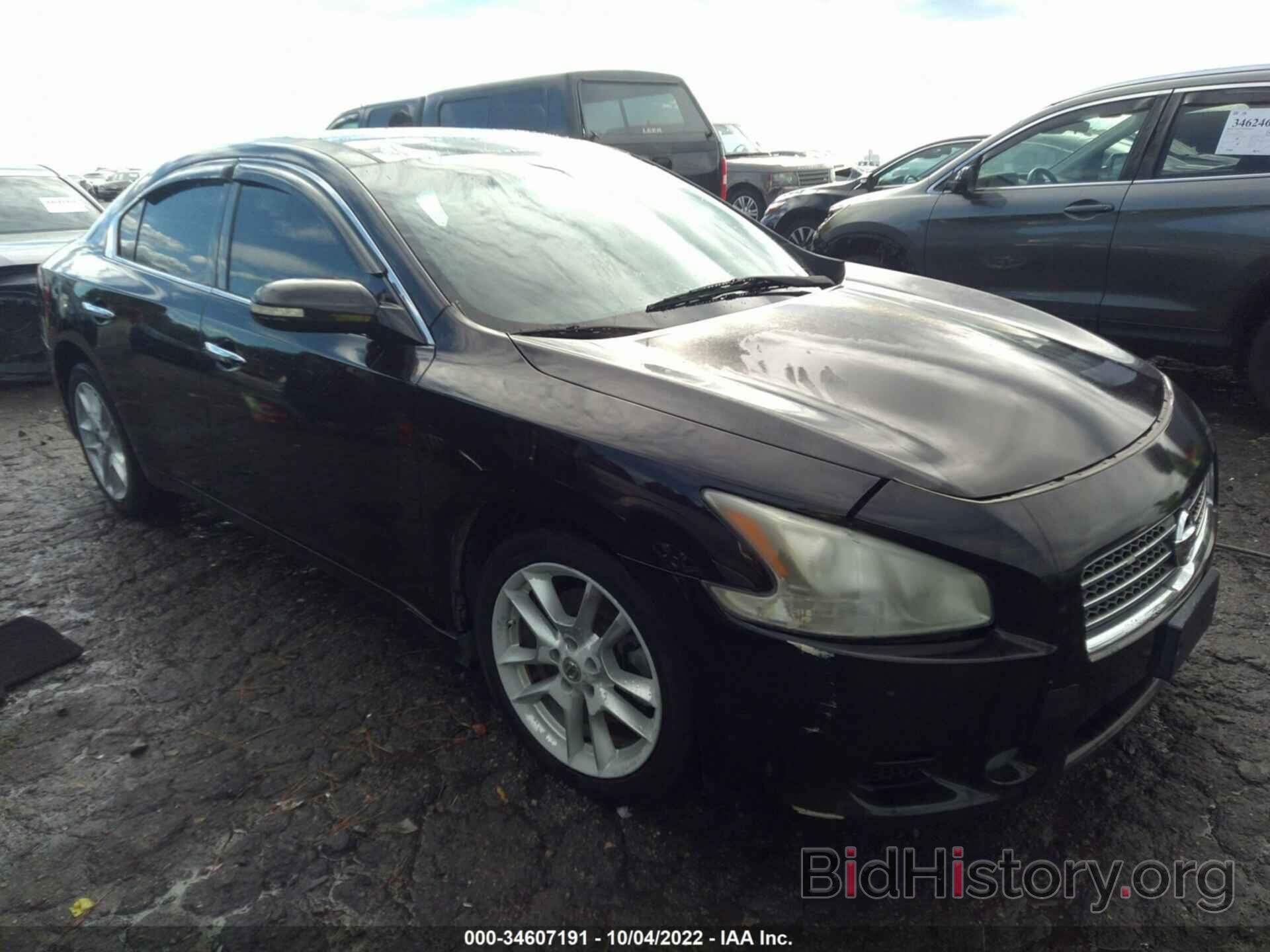 Photo 1N4AA5AP5AC828531 - NISSAN MAXIMA 2010