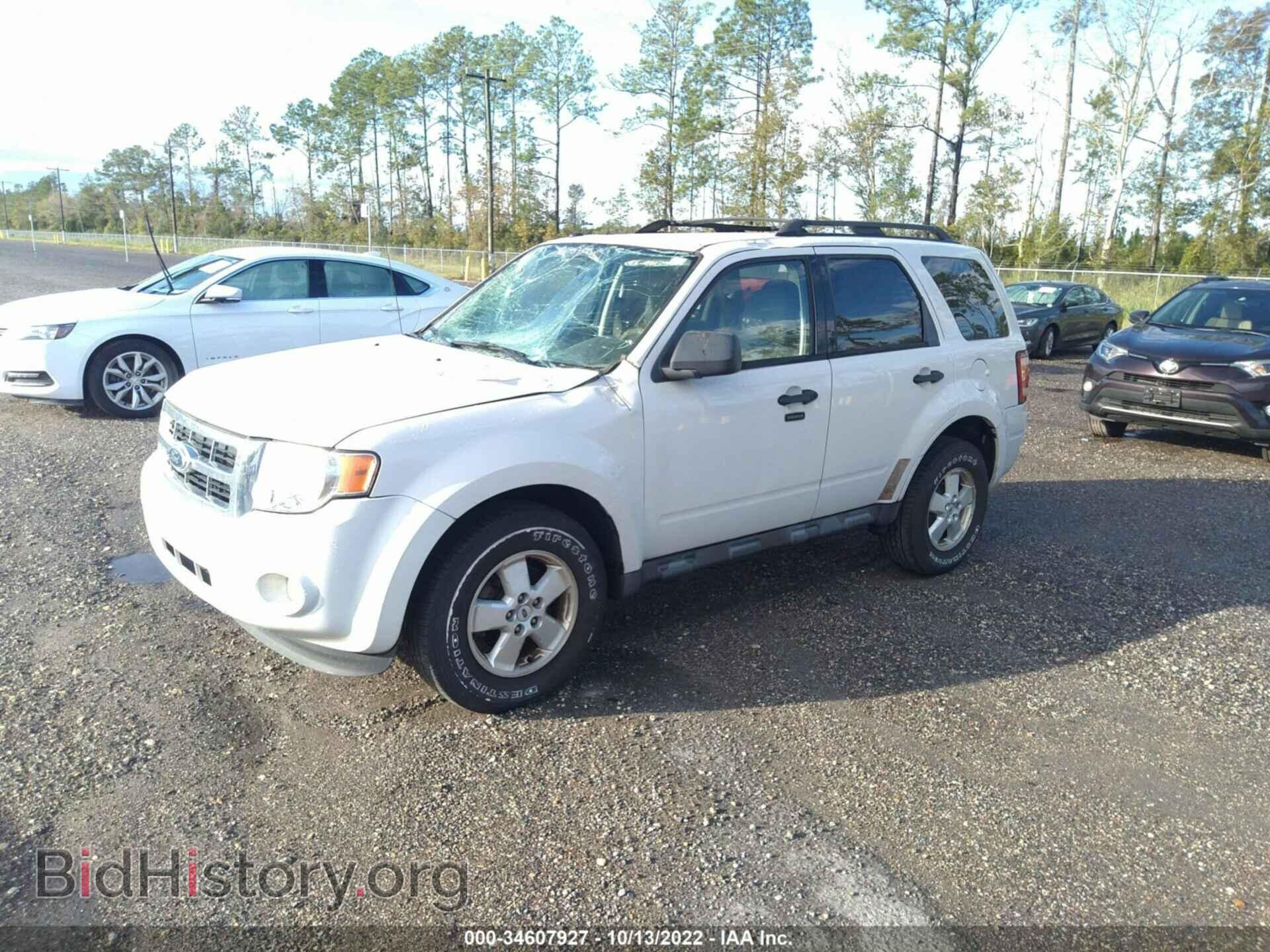 2010 FORD ESCAPE - VIN: 1FMCU0D72AKB07481 - Фото 2