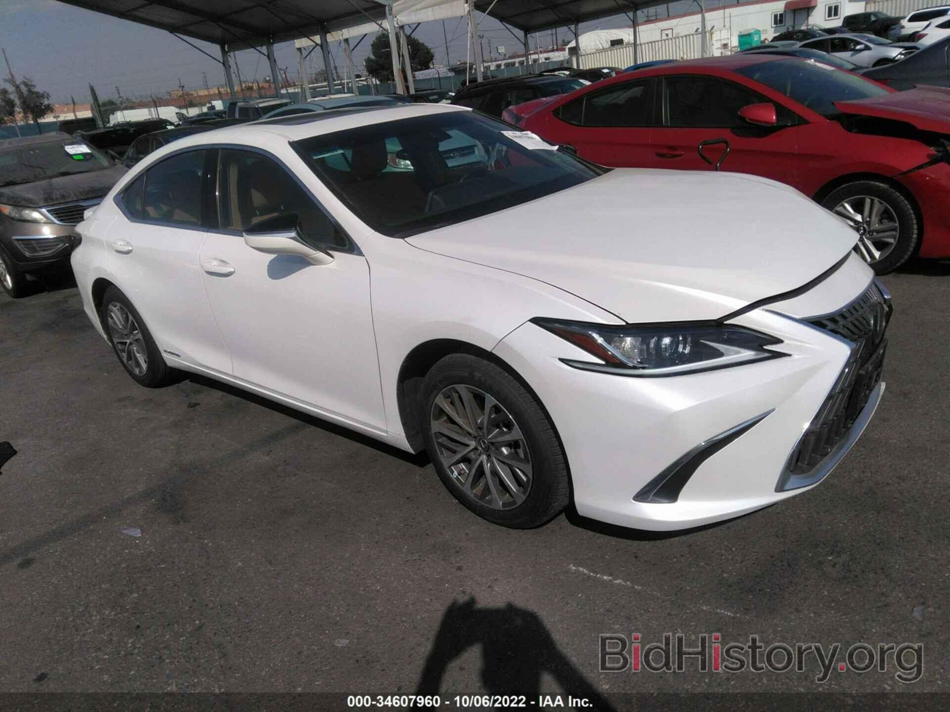 Photo 58ACA1C12NU018220 - LEXUS ES 2022