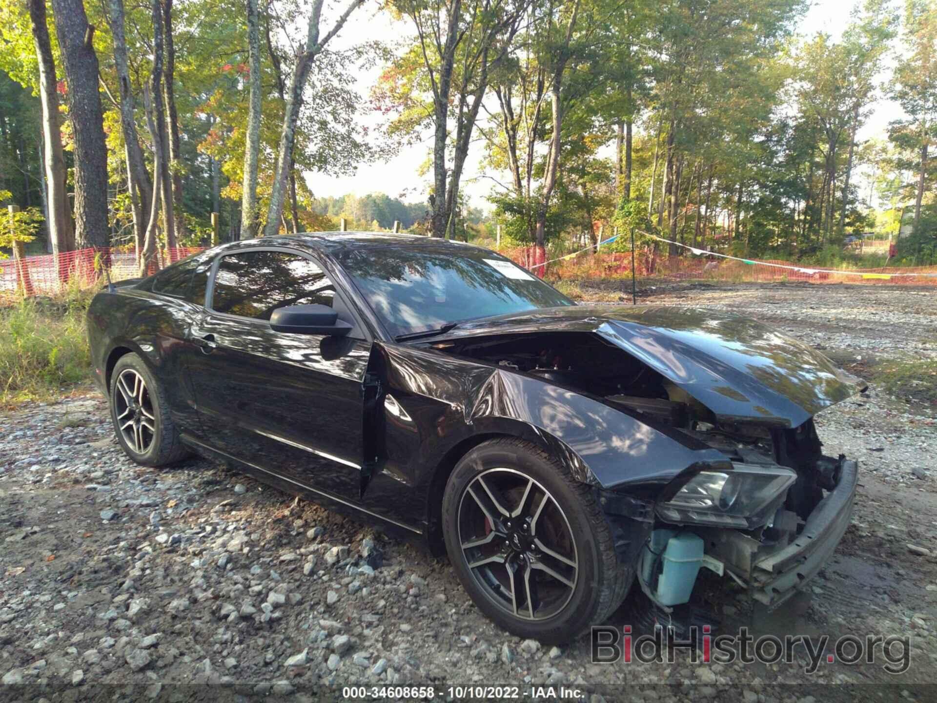 Photo 1ZVBP8AM8E5265647 - FORD MUSTANG 2014