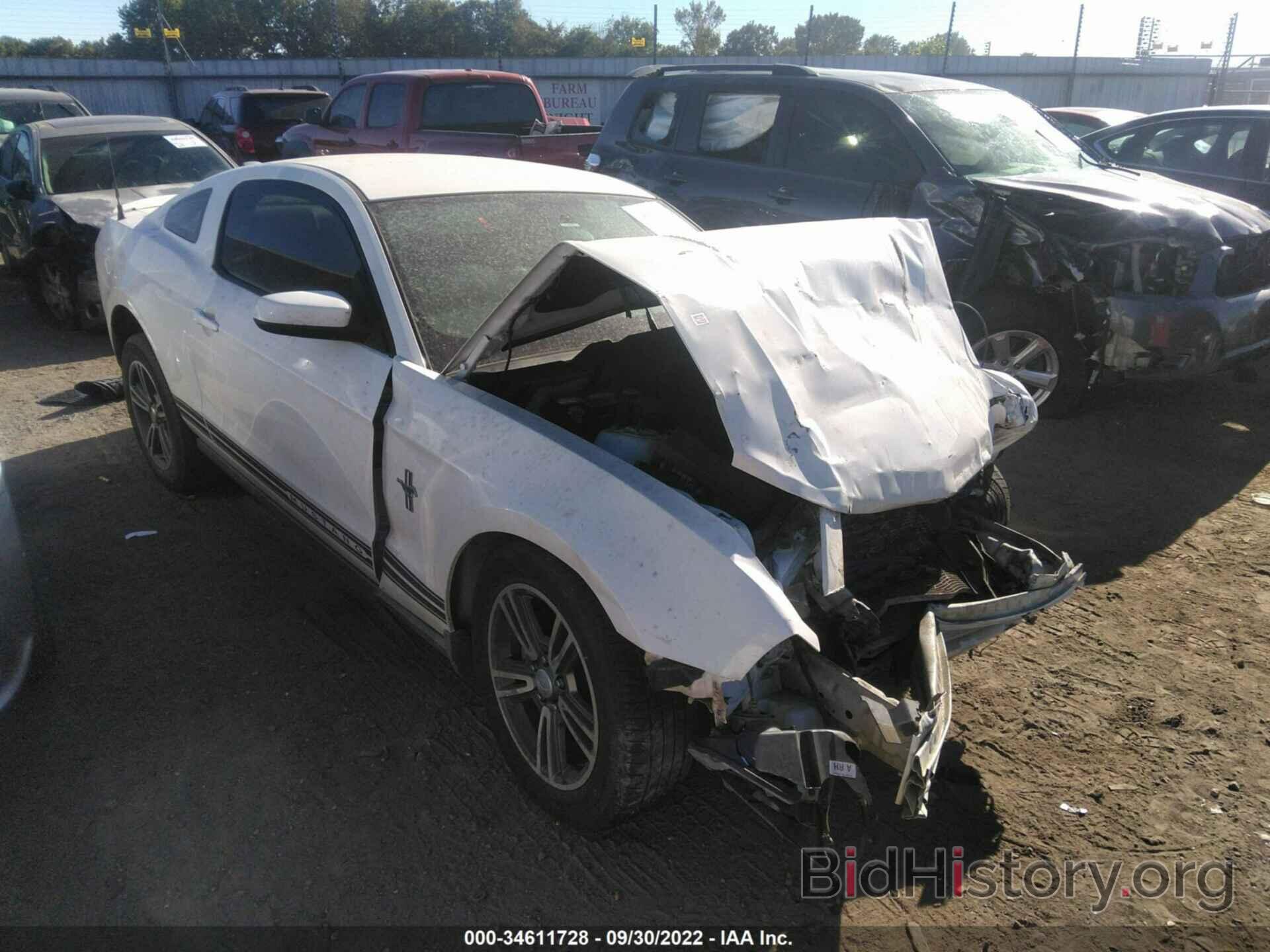 Photo 1ZVBP8AN3A5108420 - FORD MUSTANG 2010
