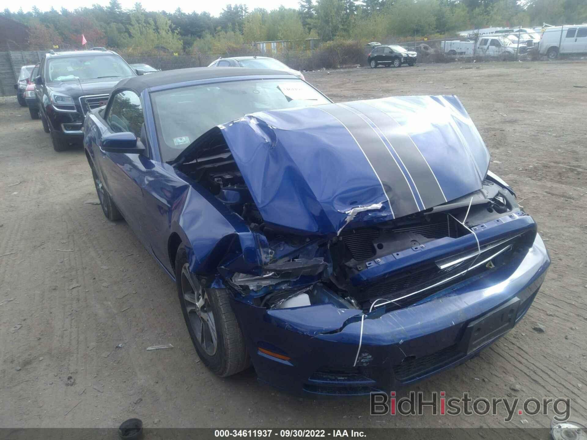 Photo 1ZVBP8EM9E5240024 - FORD MUSTANG 2014