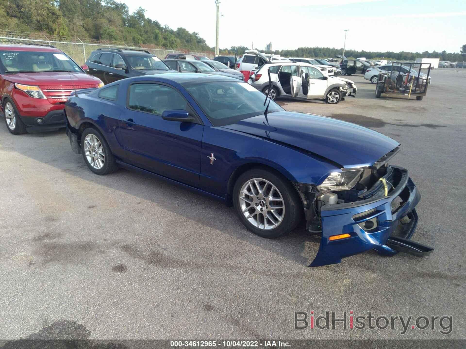 Photo 1ZVBP8AM3E5206862 - FORD MUSTANG 2014