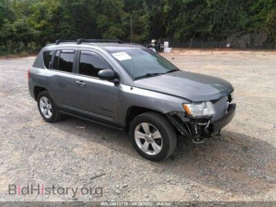 2011 Jeep COMPASS, gray — VIN 1J4NF1FB0BD244515, IAAI