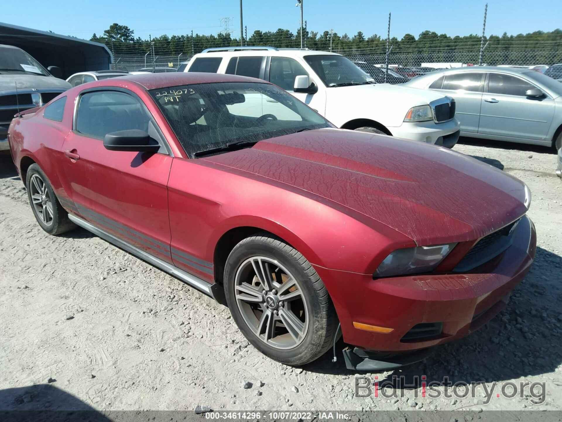 Photo 1ZVBP8AN6A5133277 - FORD MUSTANG 2010