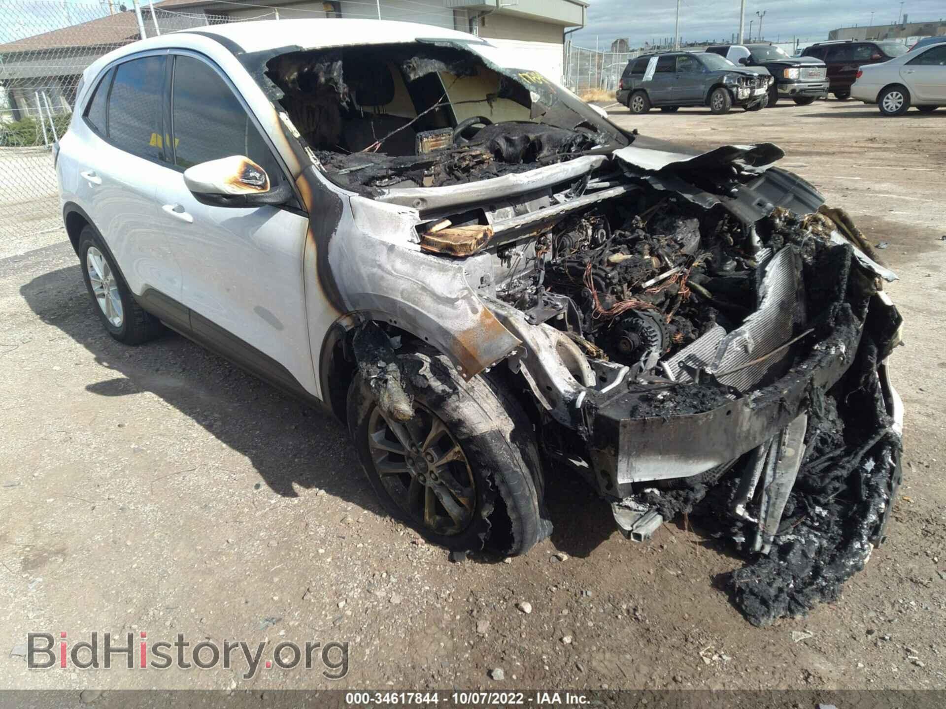 Photo 1FMCU9G69LUA34592 - FORD ESCAPE 2020