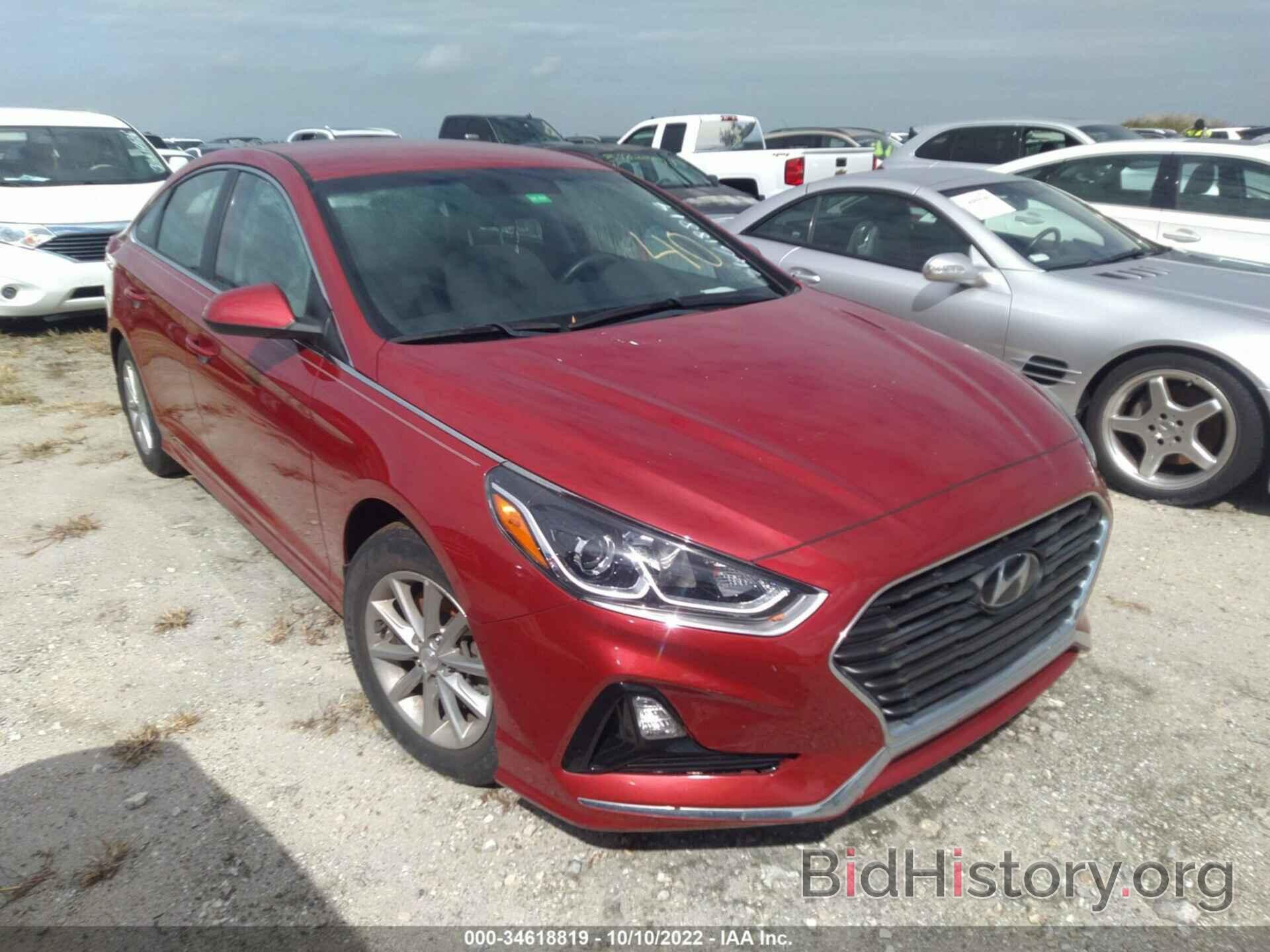 Photo 5NPE24AF7KH808765 - HYUNDAI SONATA 2019