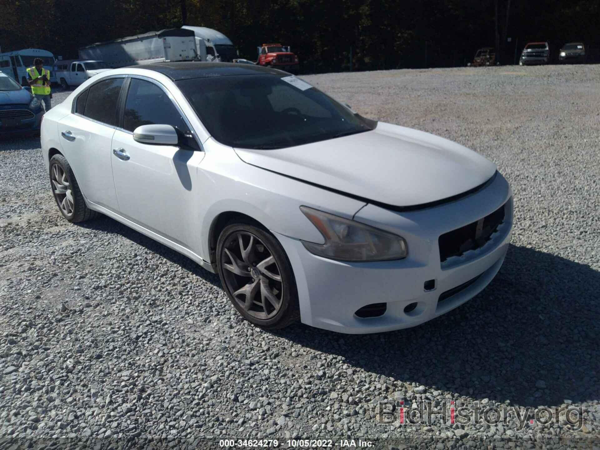 Photo 1N4AA5AP6AC859996 - NISSAN MAXIMA 2010