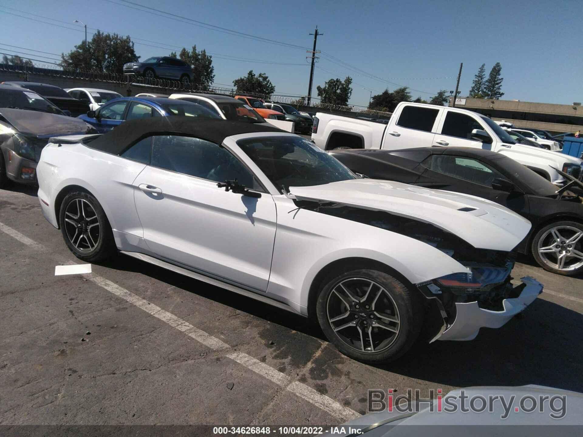 Photo 1FATP8UH7K5181682 - FORD MUSTANG 2019