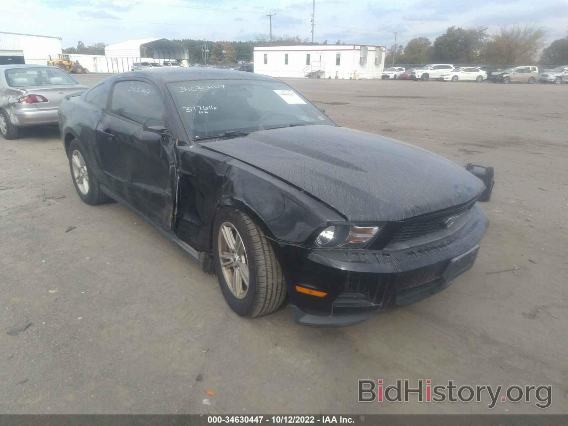 Photo 1ZVBP8AM8C5271929 - FORD MUSTANG 2012