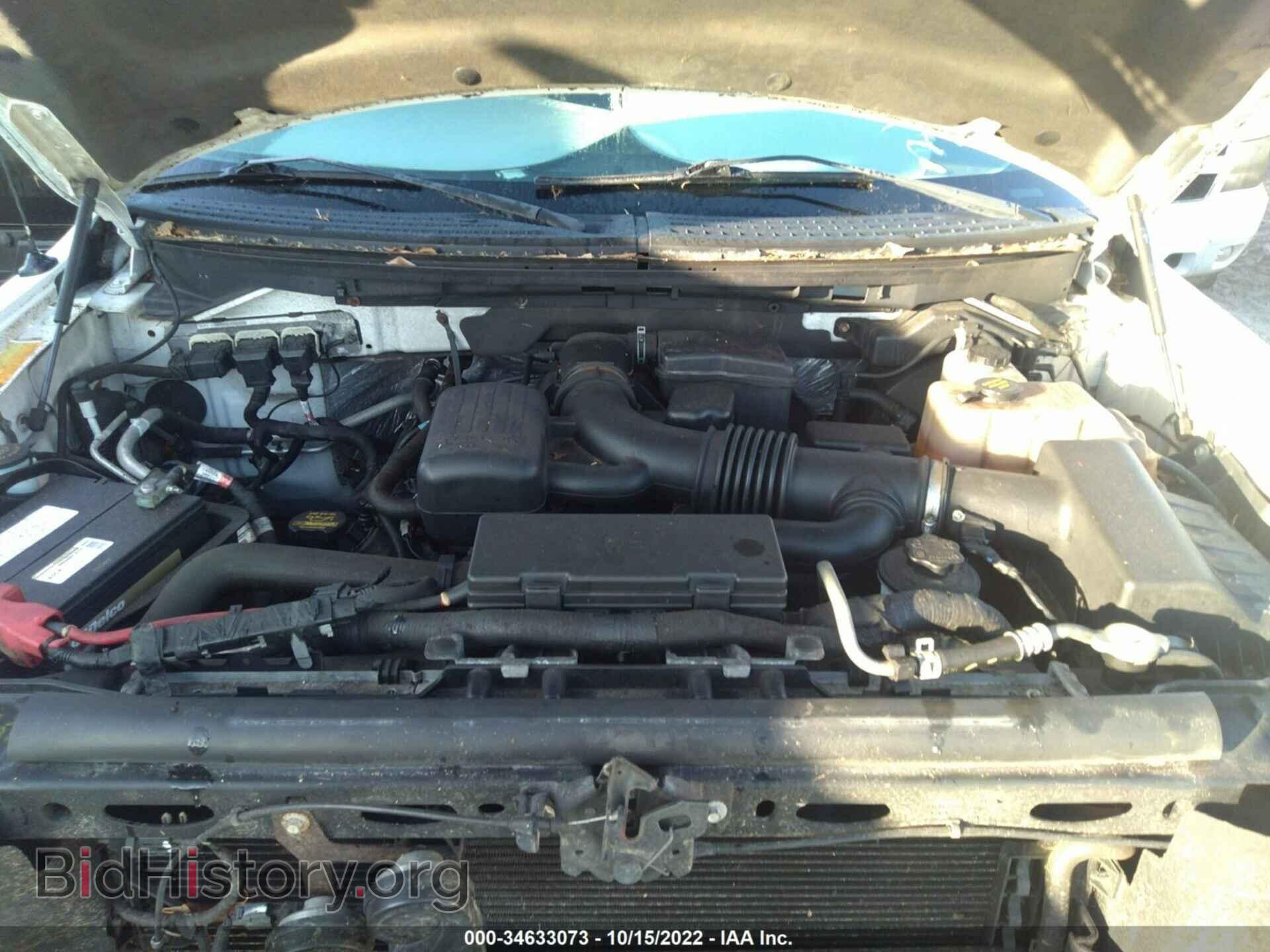 2010 FORD F-150 - VIN: 1FTFX1EV2AFA36285 - Фото 10