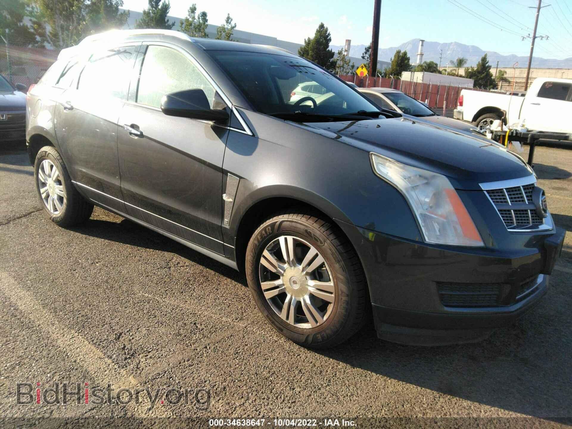Фотография 3GYFNAEY1AS643459 - CADILLAC SRX 2010