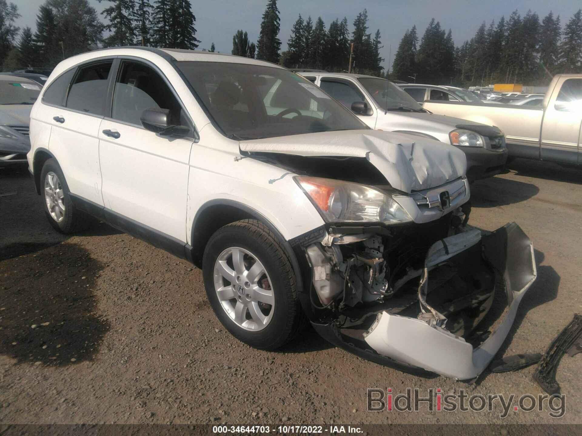 Photo 5J6RE48508L050207 - HONDA CR-V 2008