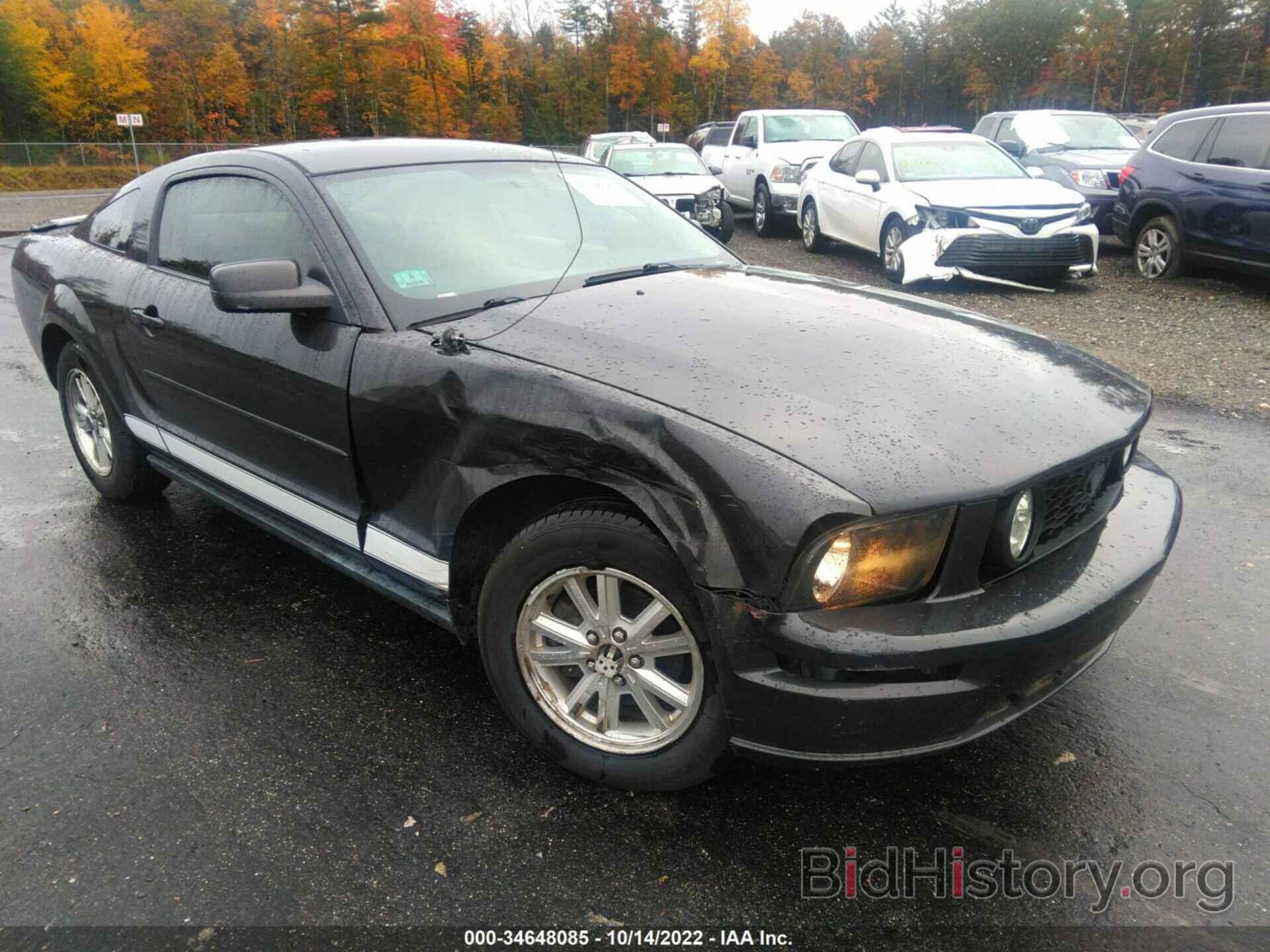 Photo 1ZVHT80N885107264 - FORD MUSTANG 2008
