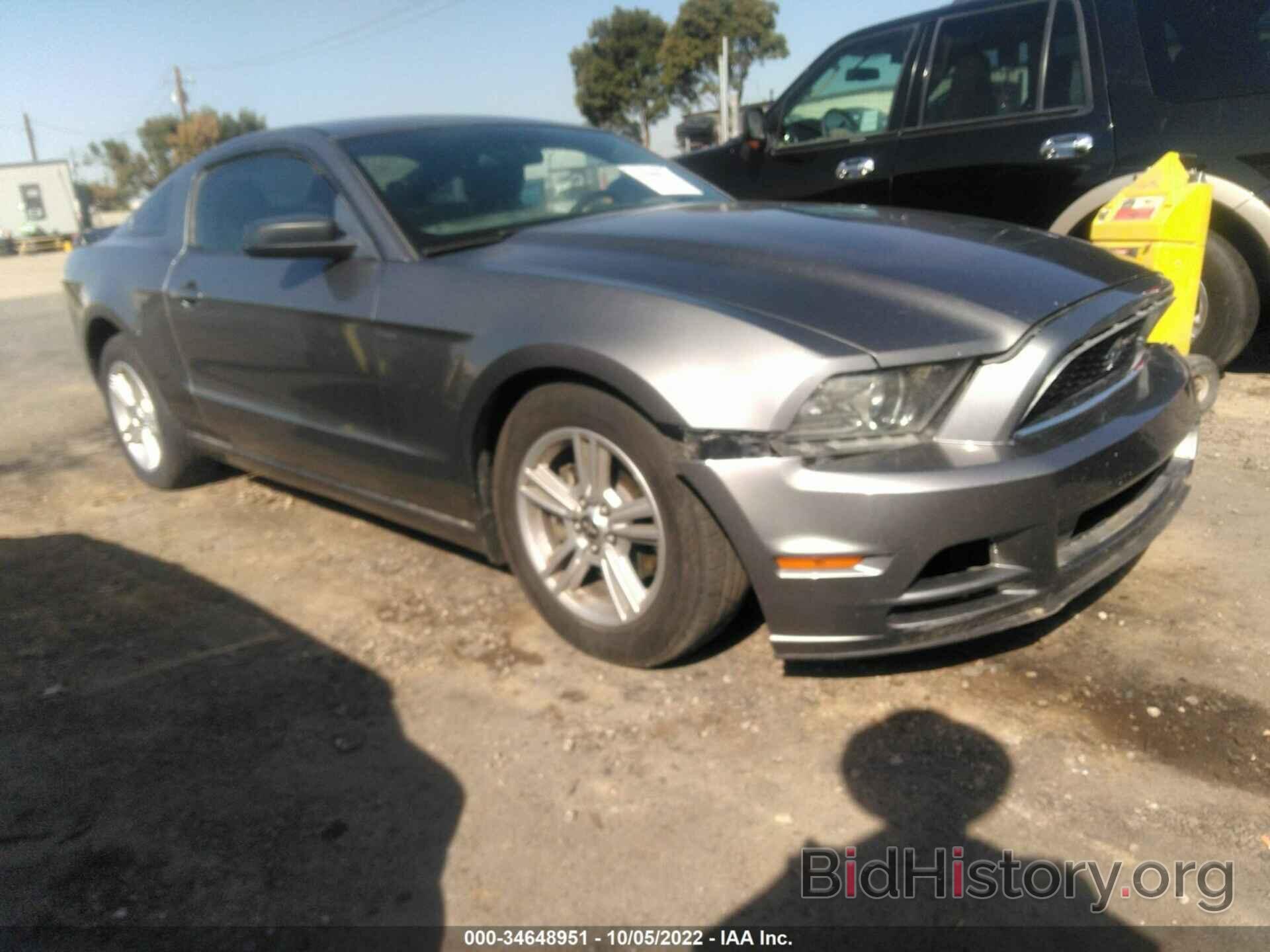 Photo 1ZVBP8AM6D5255455 - FORD MUSTANG 2013