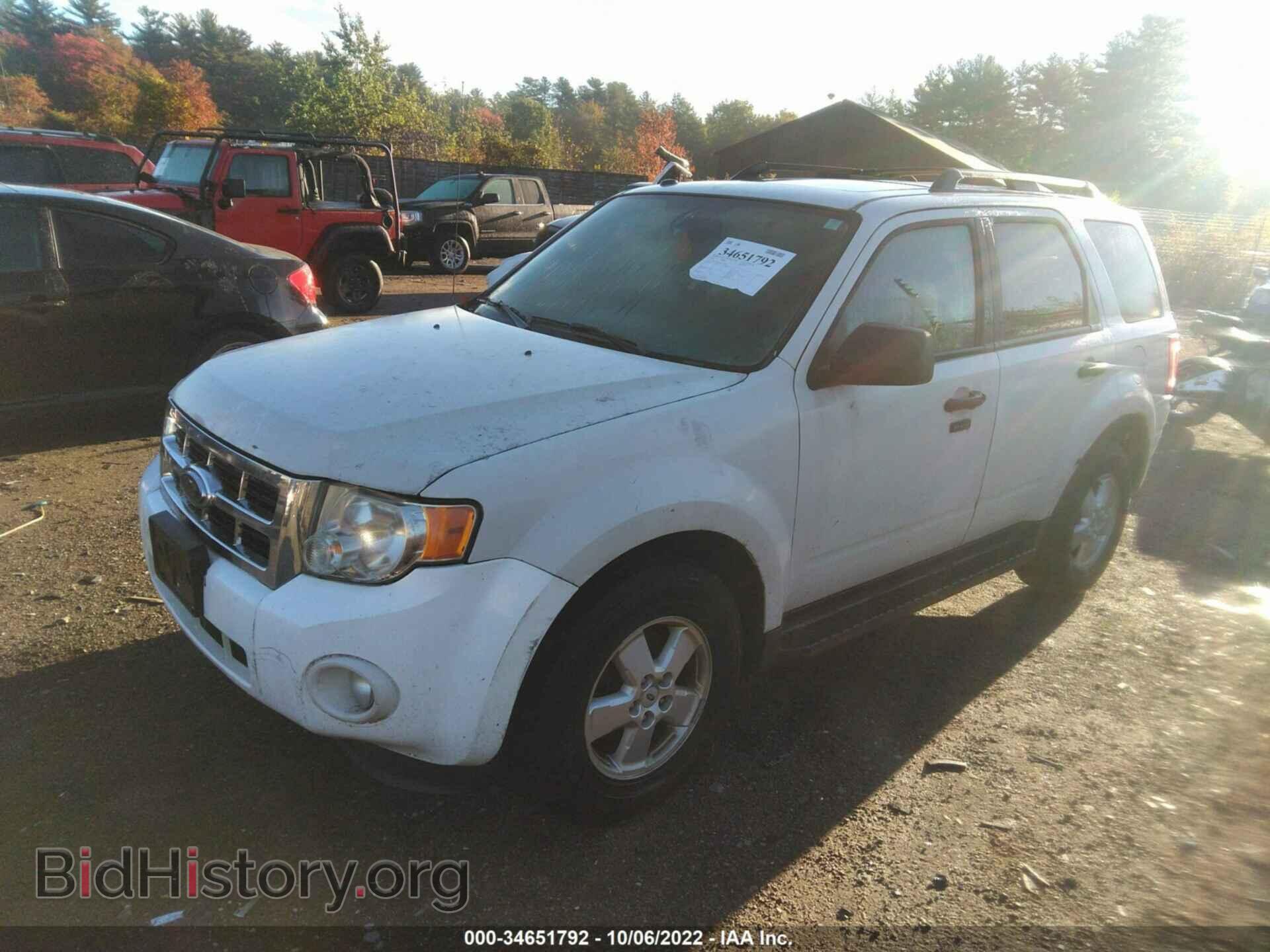 2010 FORD ESCAPE - VIN: 1FMCU9DG9AKA15045 - Фото 2