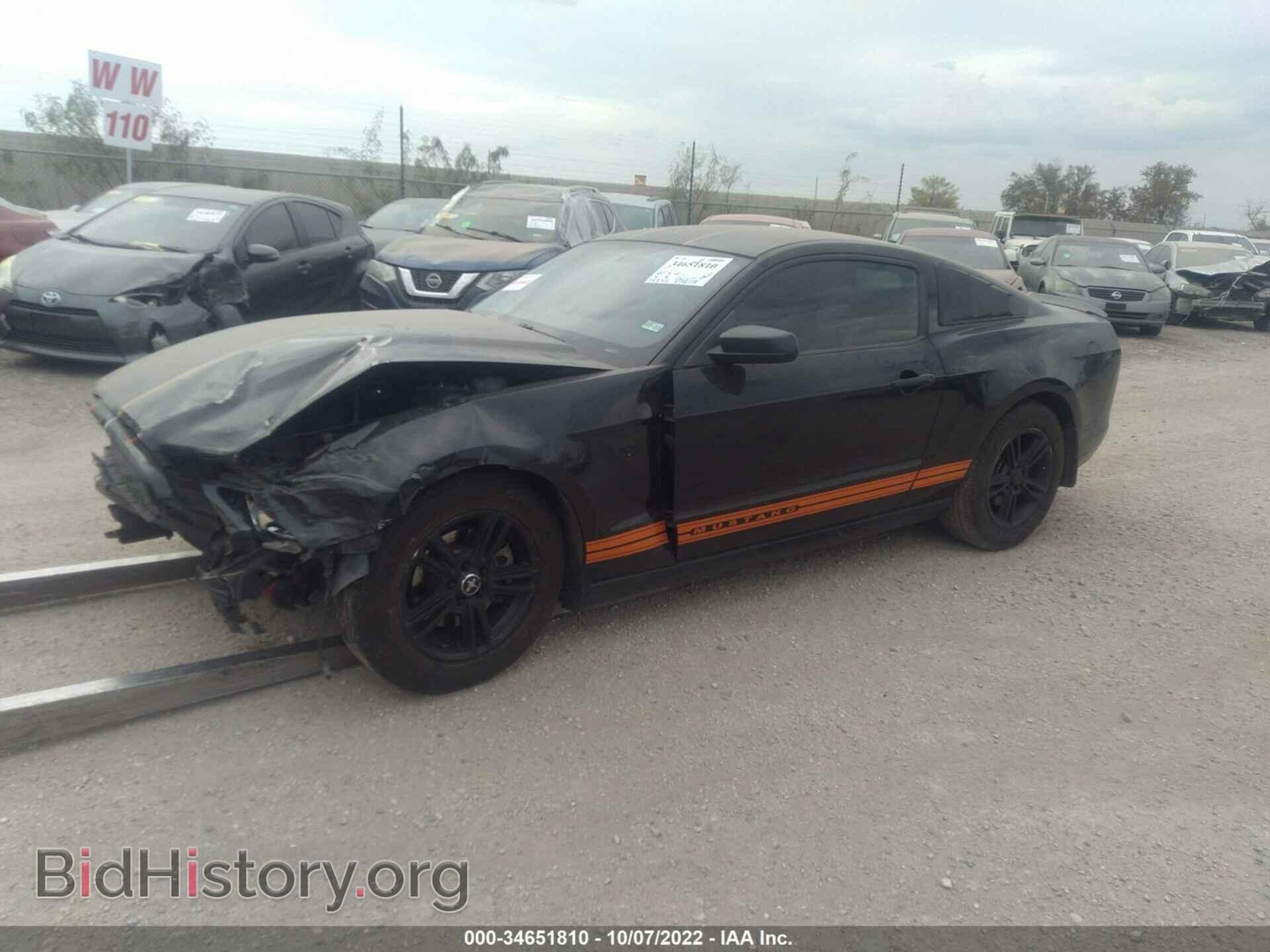 2013 FORD MUSTANG - VIN: 1ZVBP8AM7D5241158 - Photo 2