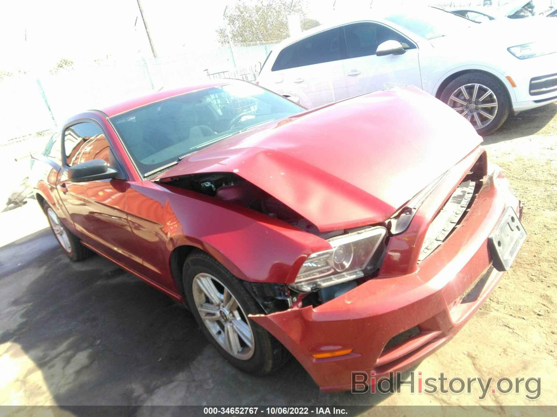 Photo 1ZVBP8AM2E5259360 - FORD MUSTANG 2014