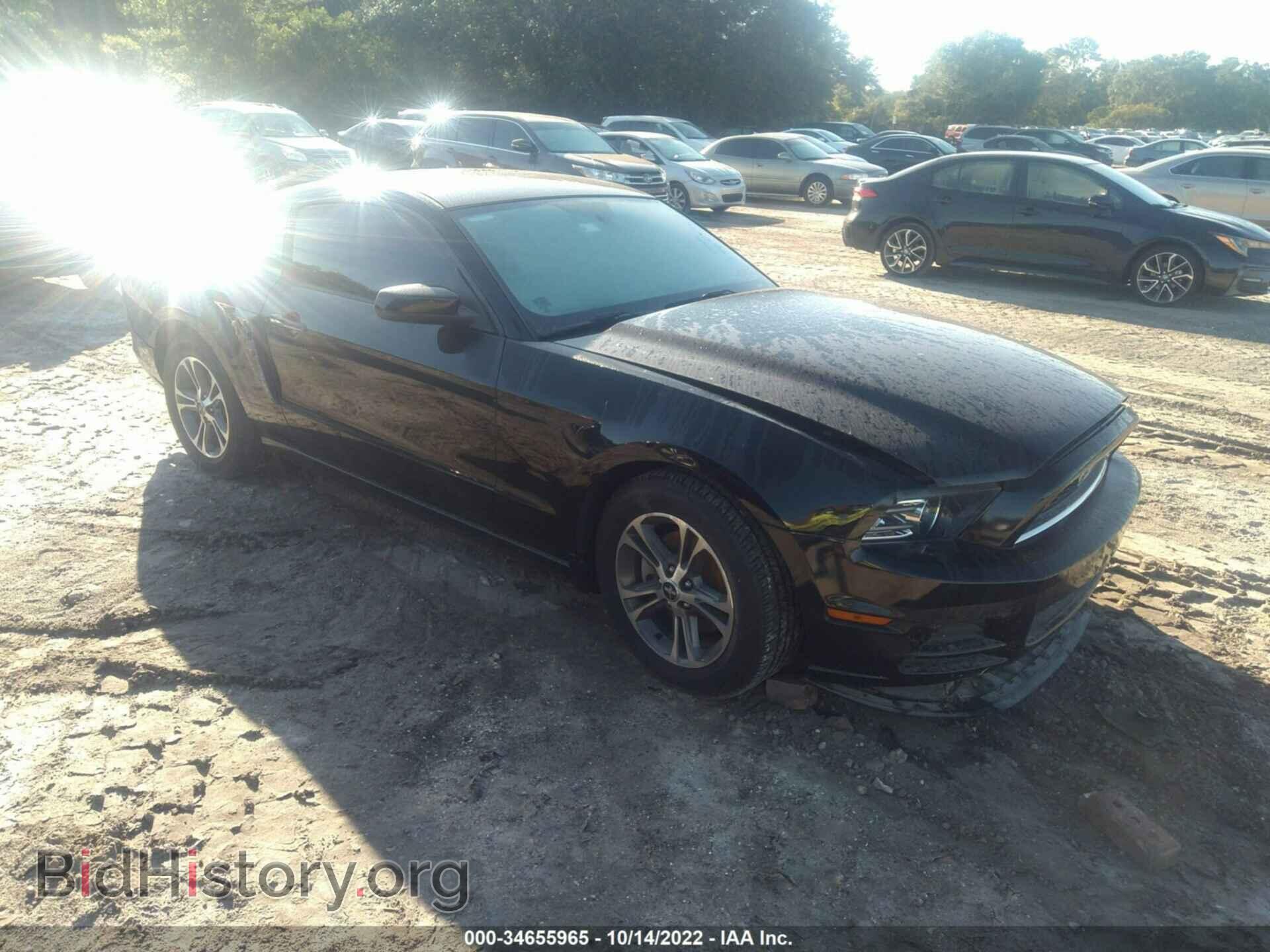 Фотография 1ZVBP8AM4D5248598 - FORD MUSTANG 2013