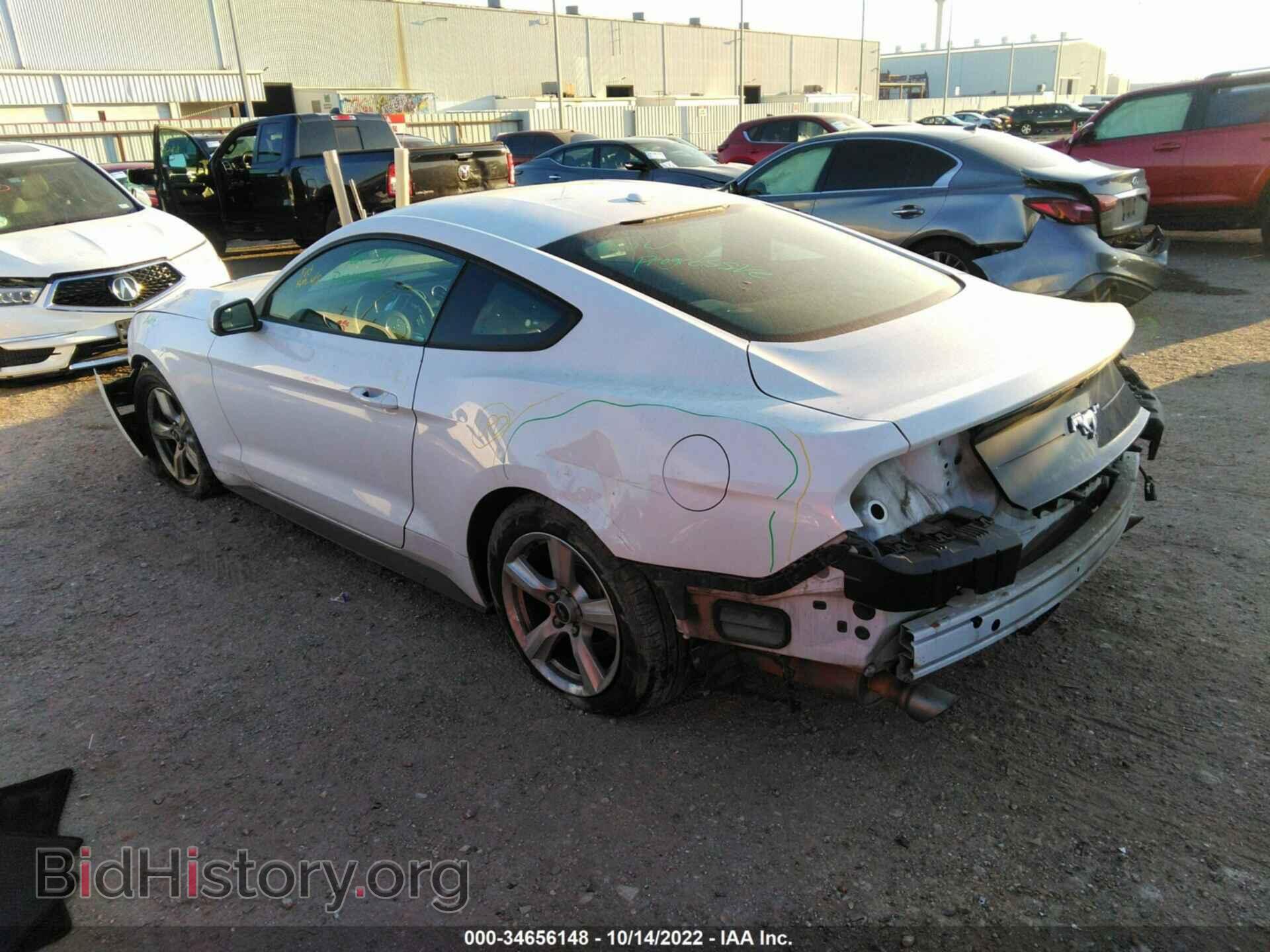 2019 FORD MUSTANG - VIN: 1FA6P8TH5K5118286 - Фото 3