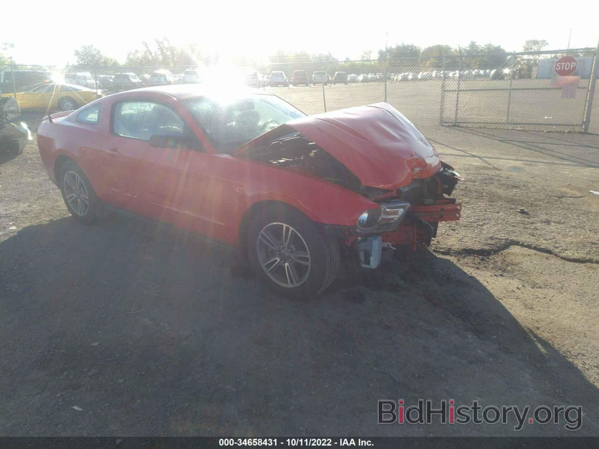 Photo 1ZVBP8AMXC5248779 - FORD MUSTANG 2012