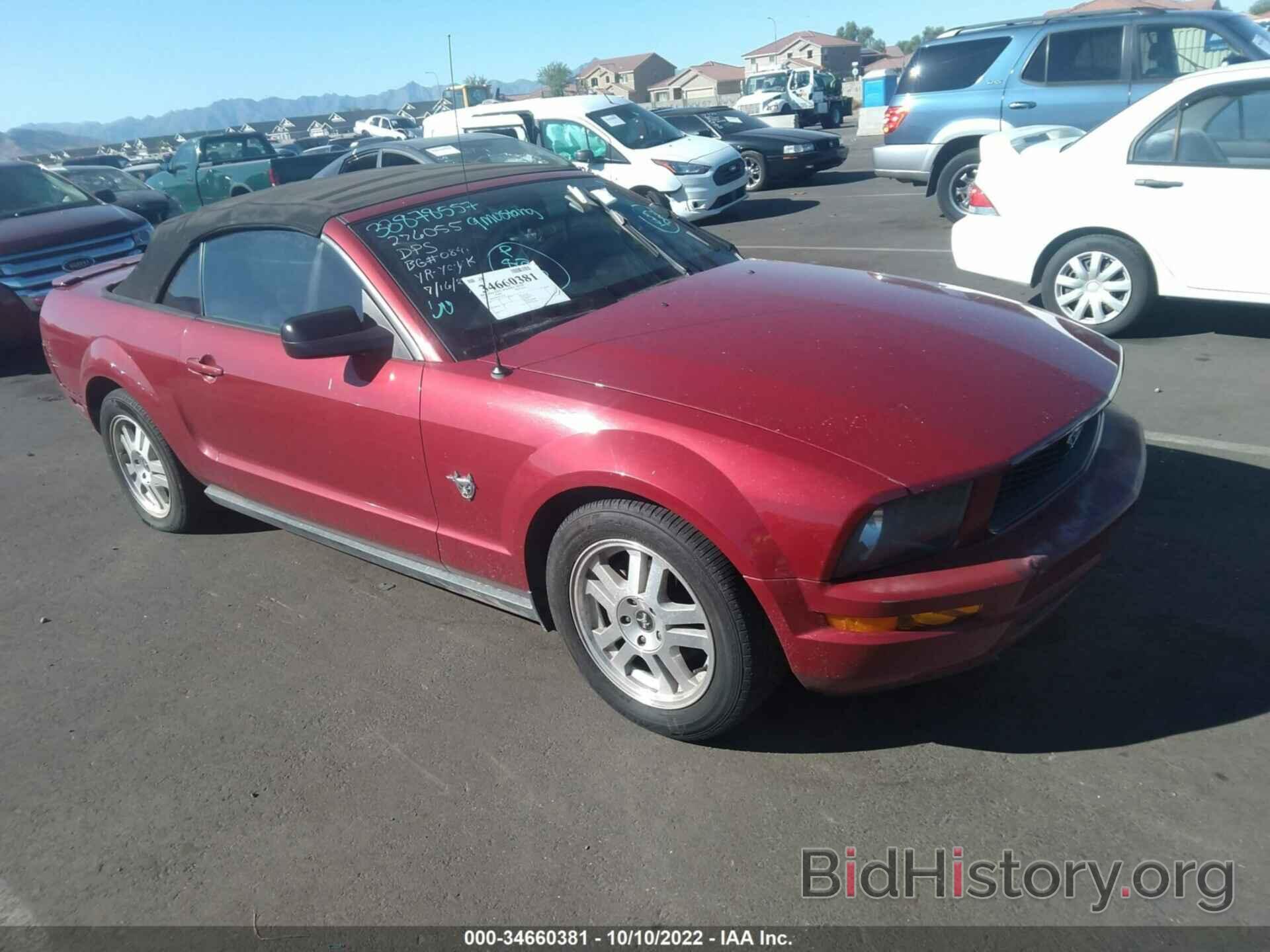 Photo 1ZVHT84N995123727 - FORD MUSTANG 2009
