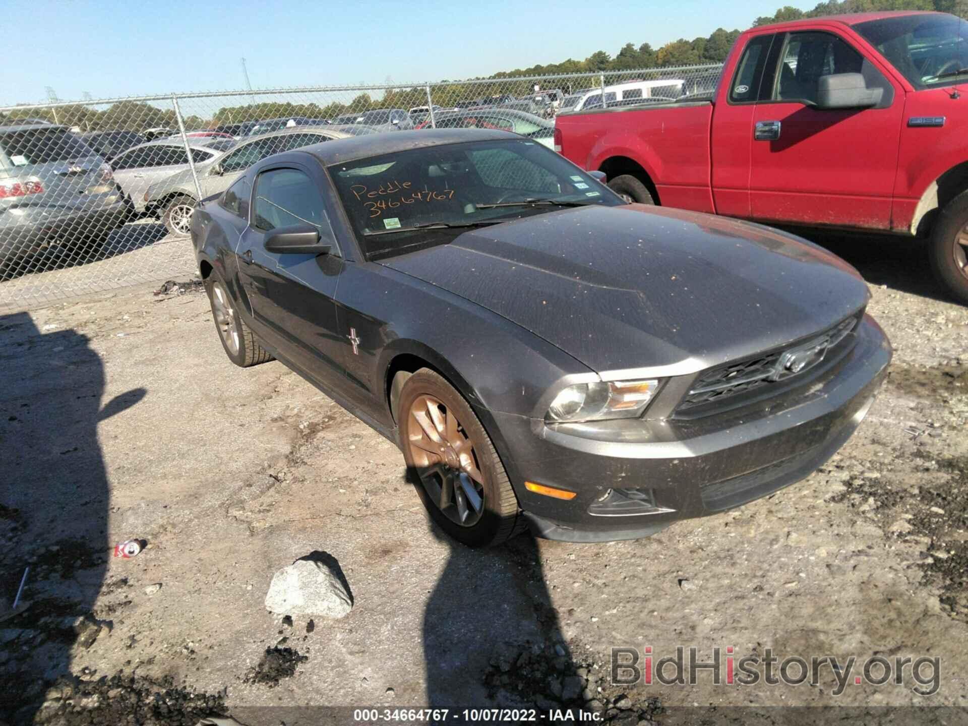 Photo 1ZVBP8AN7A5165591 - FORD MUSTANG 2010