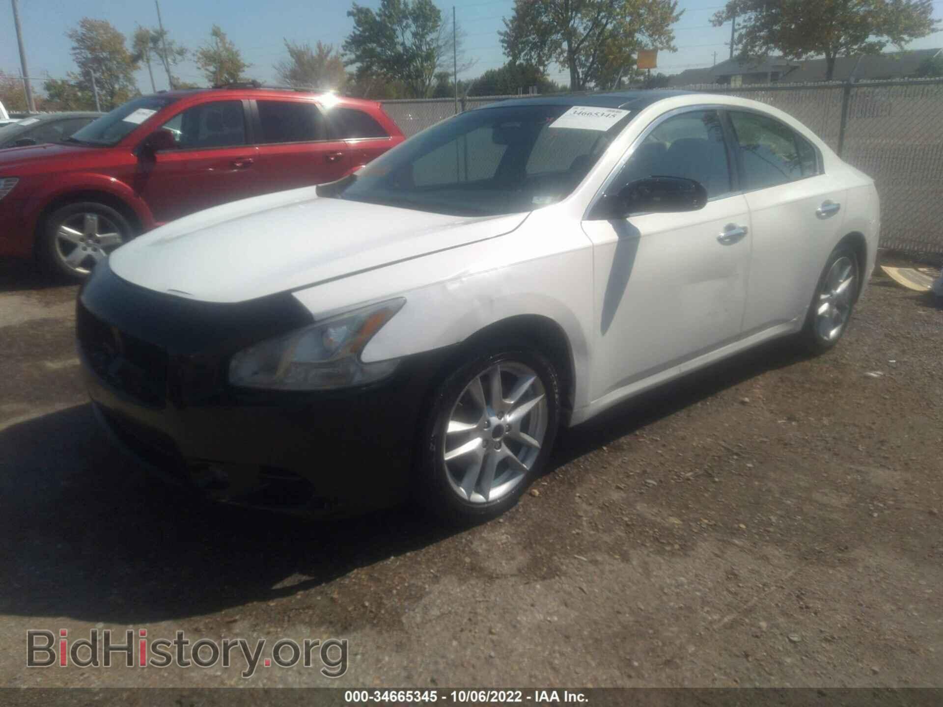 2009 NISSAN MAXIMA - VIN: 1N4AA51E89C803536 - Фото 2