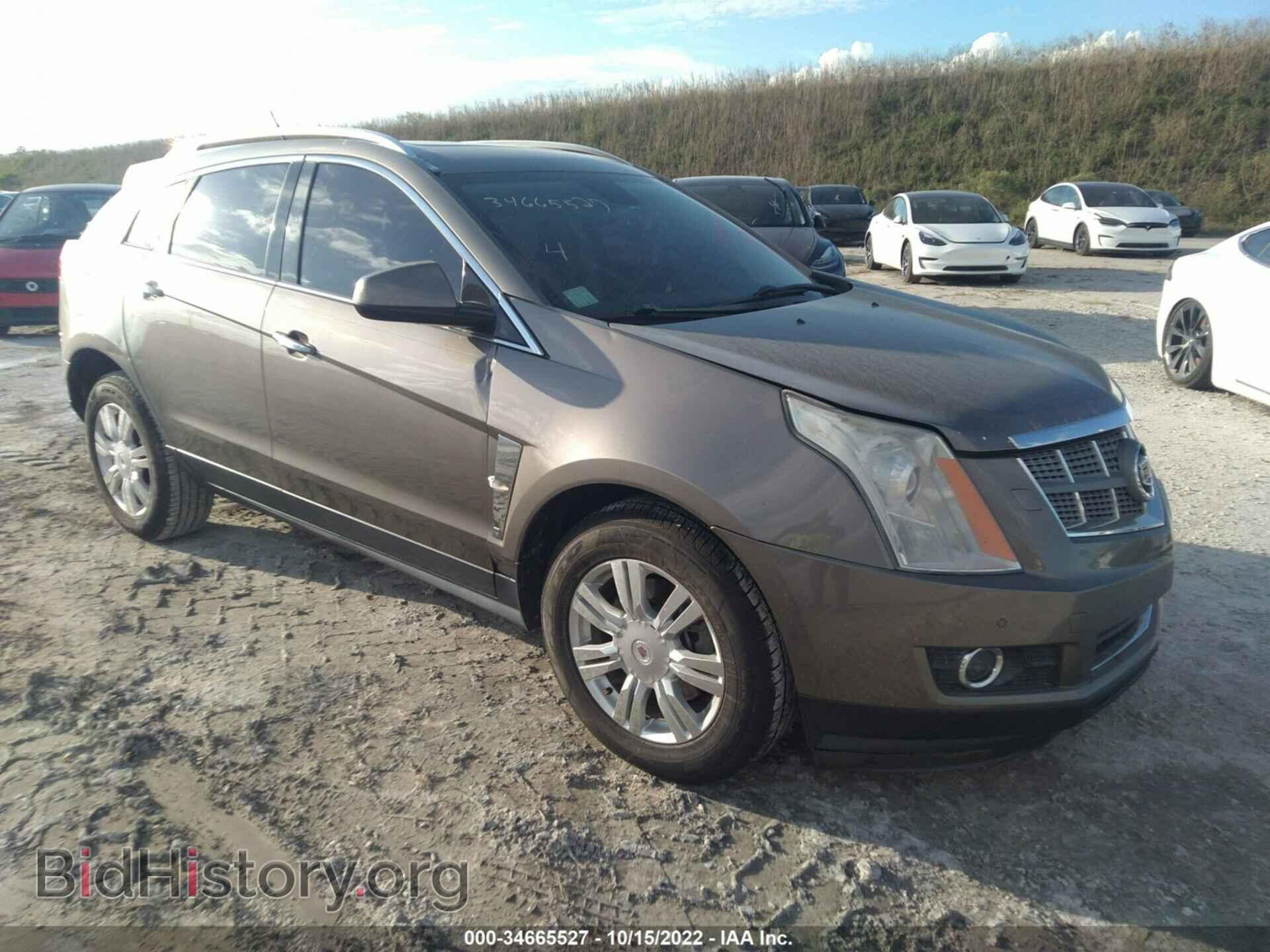 Фотография 3GYFNCEY9BS559953 - CADILLAC SRX 2011