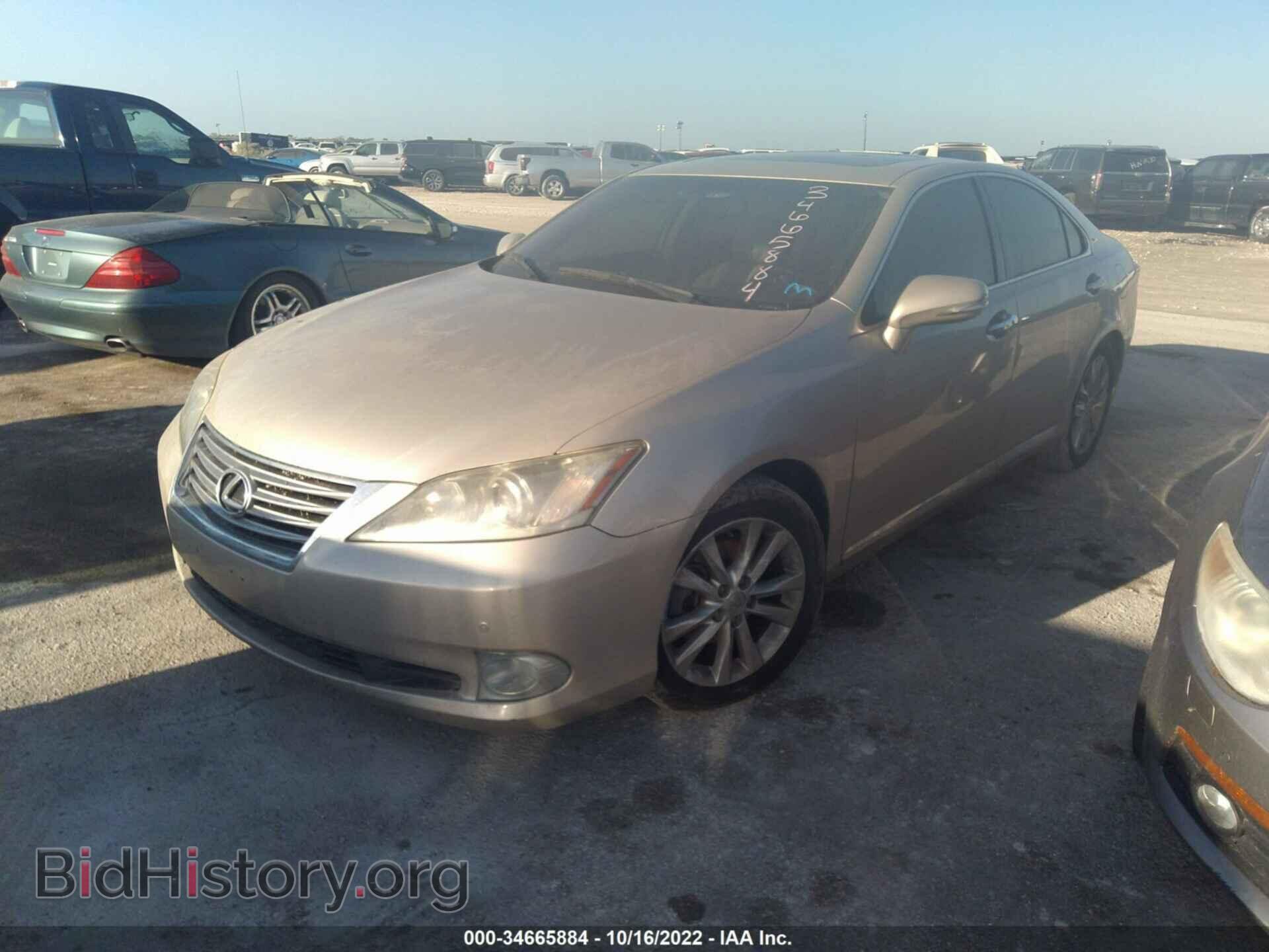 2011 LEXUS ES 350 - VIN: JTHBK1EG9B2426404 - Фото 2
