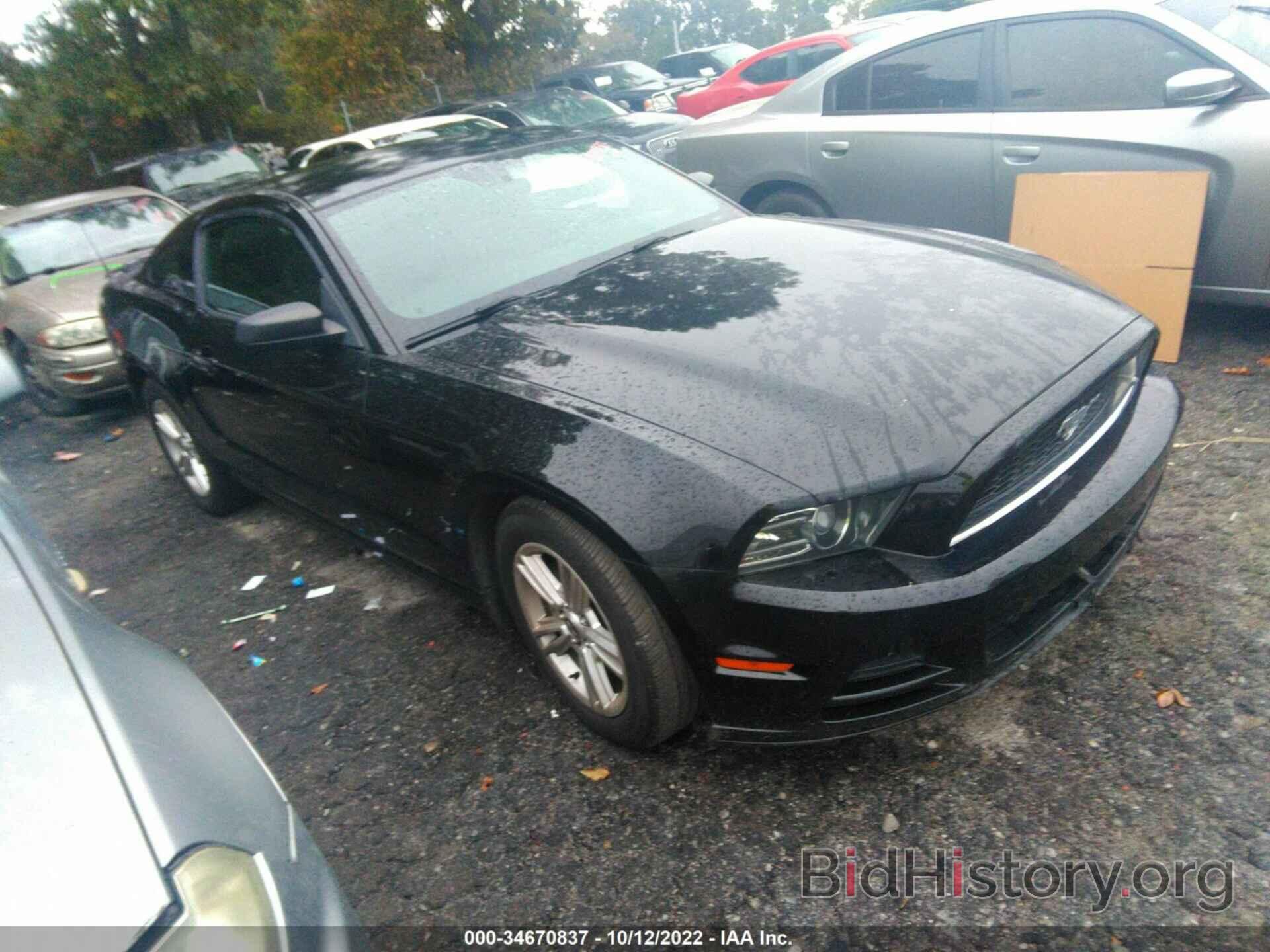 Фотография 1ZVBP8AM6D5233133 - FORD MUSTANG 2013