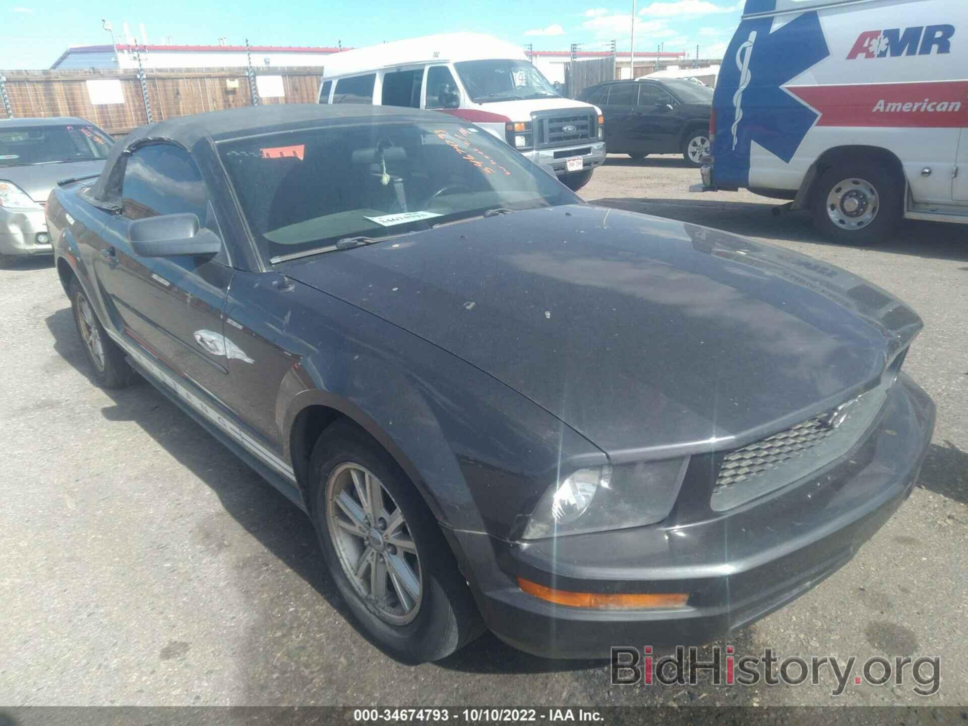 Photo 1ZVHT84N085194037 - FORD MUSTANG 2008