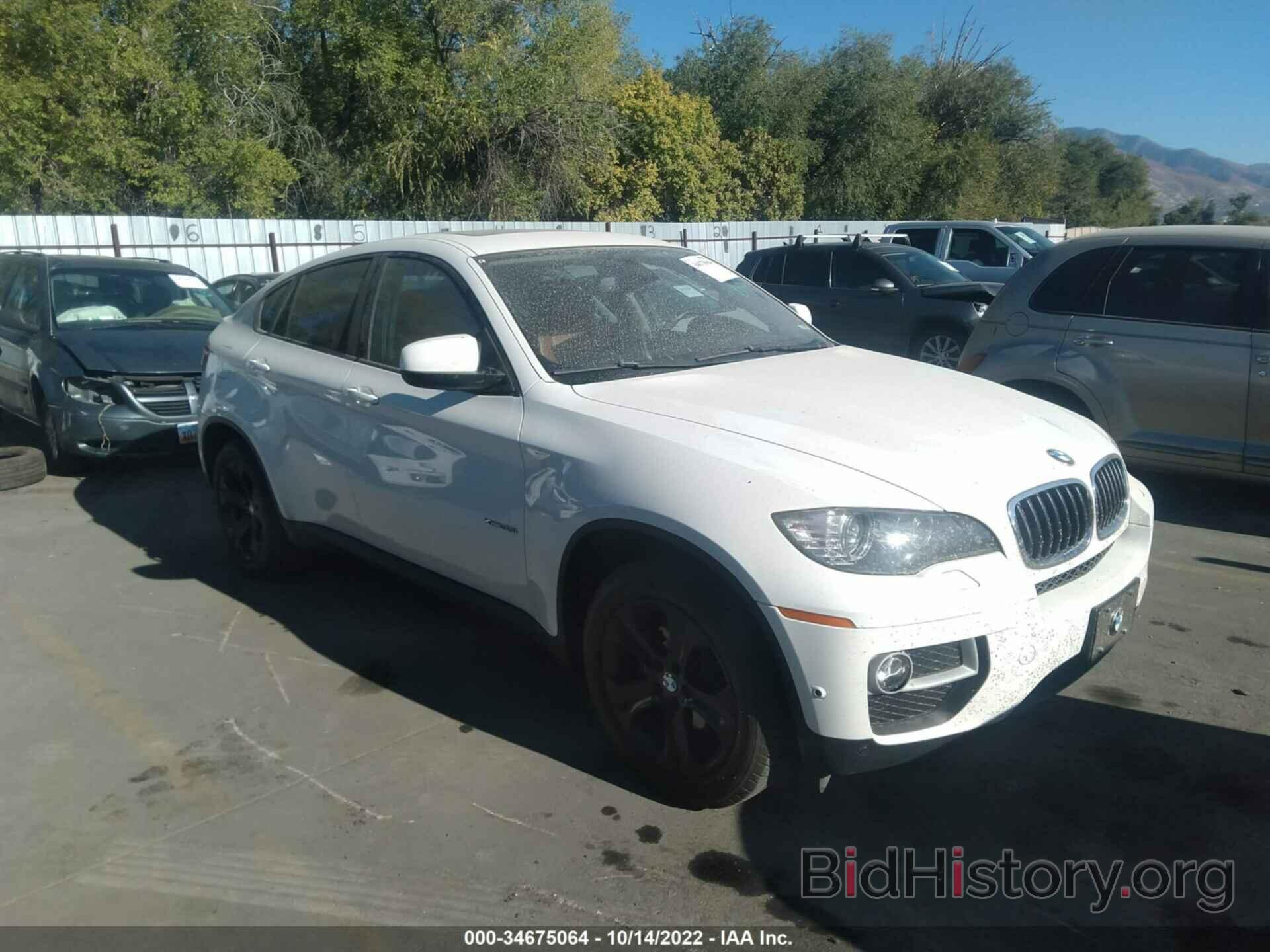 Photo 5UXFG2C58E0C44660 - BMW X6 2014