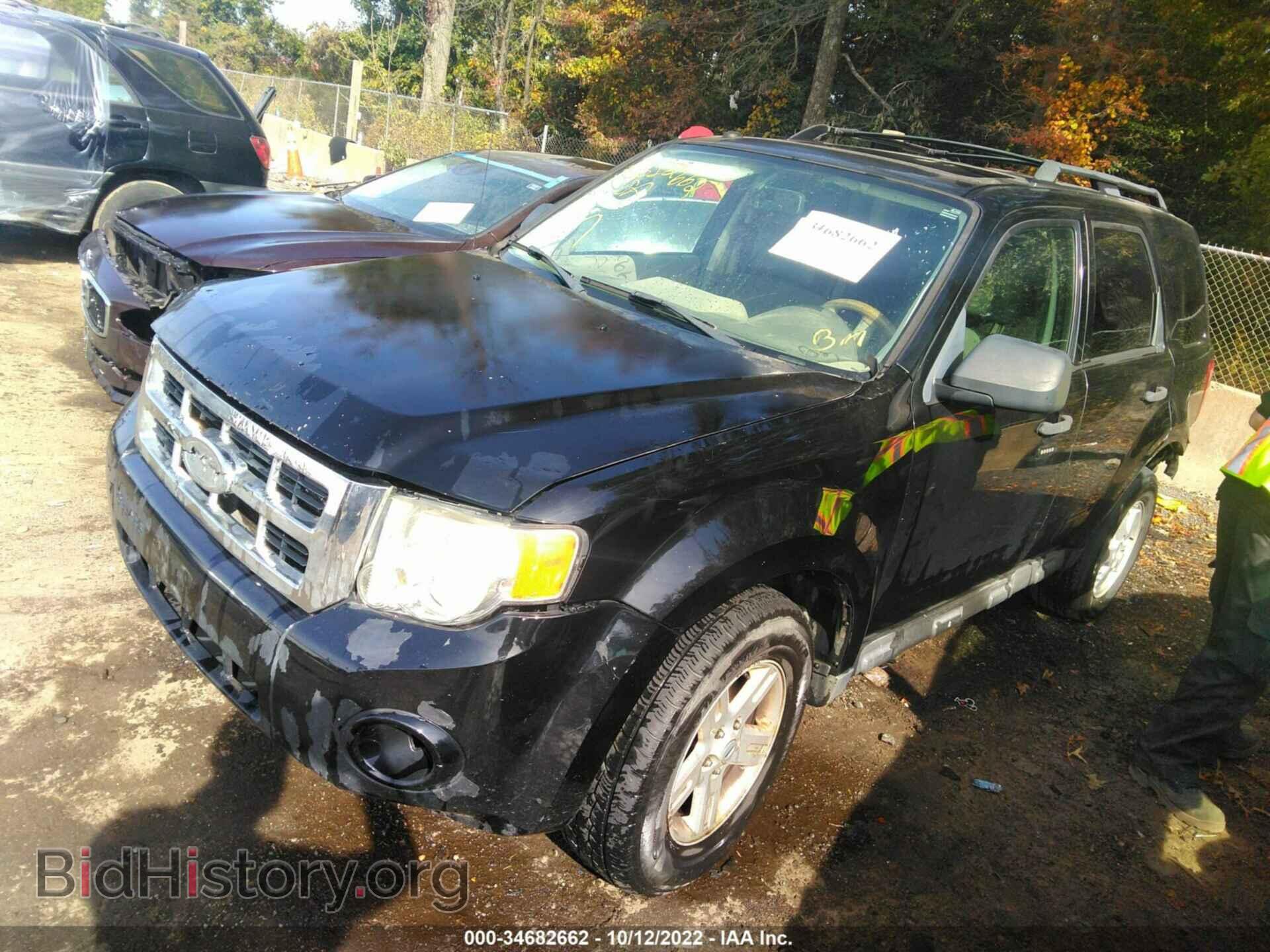 2010 FORD ESCAPE - VIN: 1FMCU0DG7AKB07038 - Фото 2