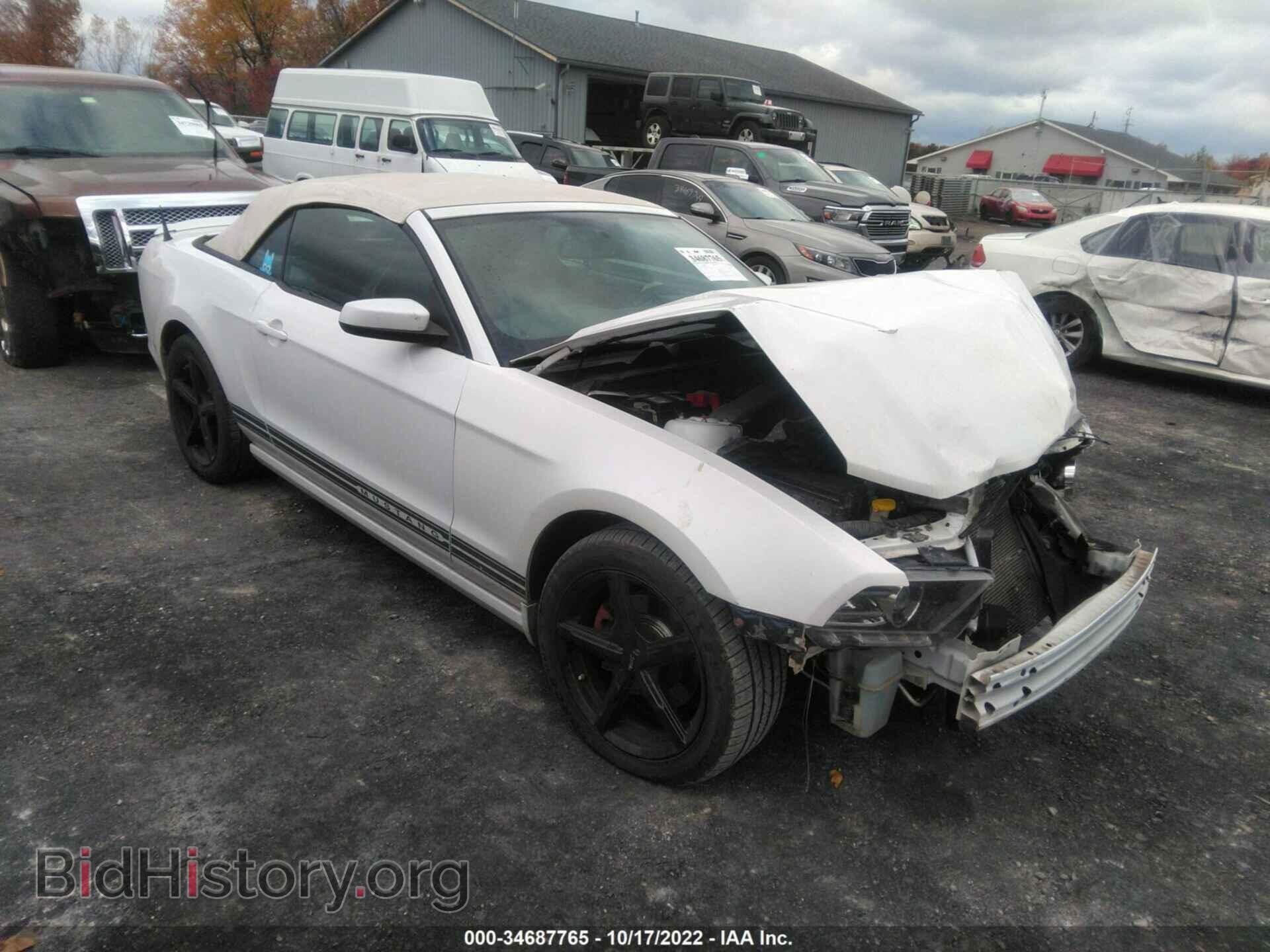 Фотография 1ZVBP8EM9E5210960 - FORD MUSTANG 2014