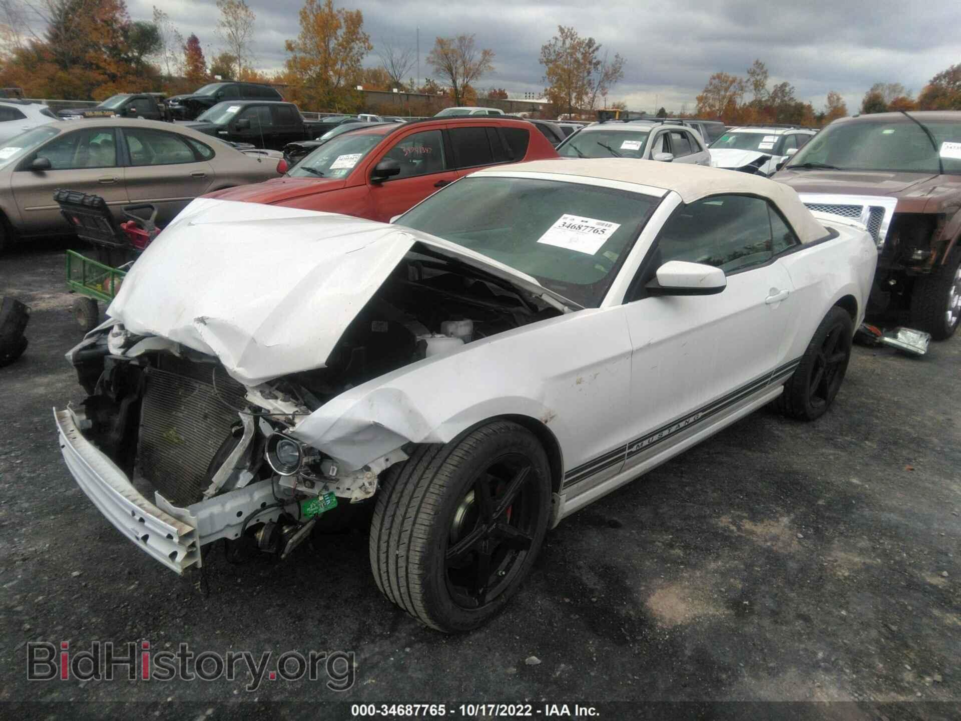 2014 FORD MUSTANG - VIN: 1ZVBP8EM9E5210960 - Фото 2